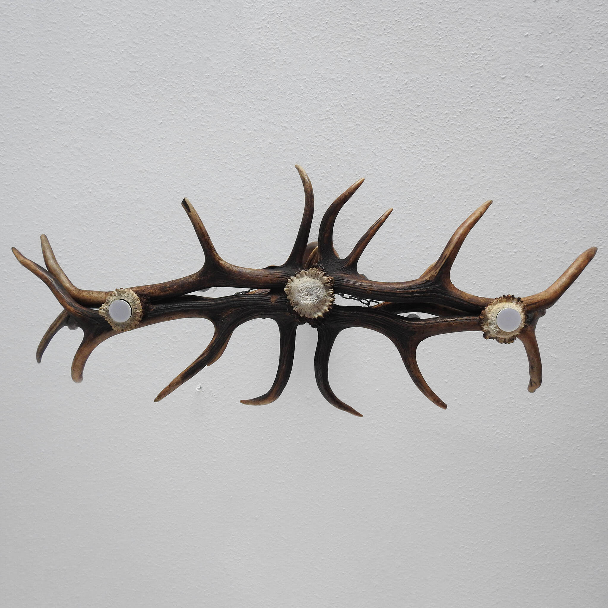 Antler light fixture.