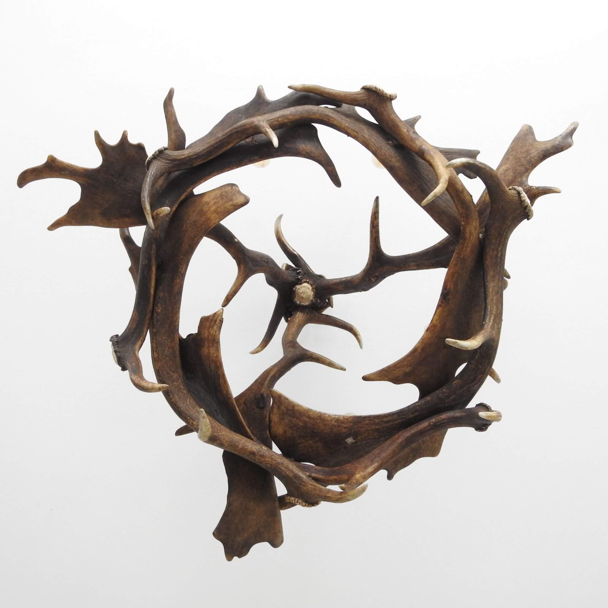 Antler chandelier, view from the bottom.