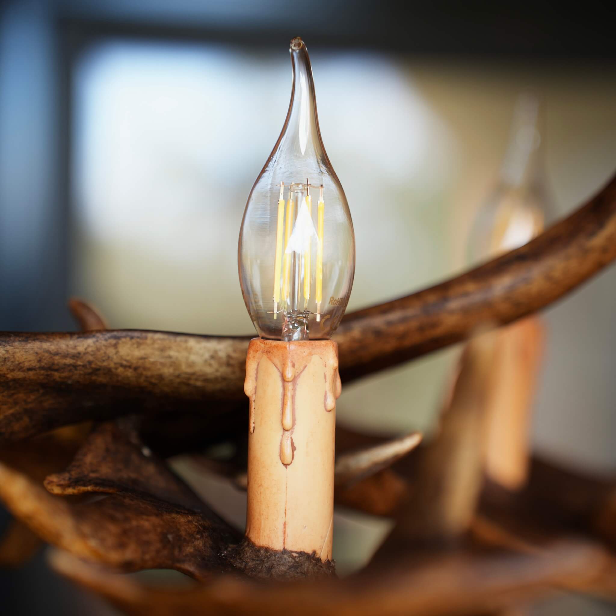 Bulb in antler chandelier.