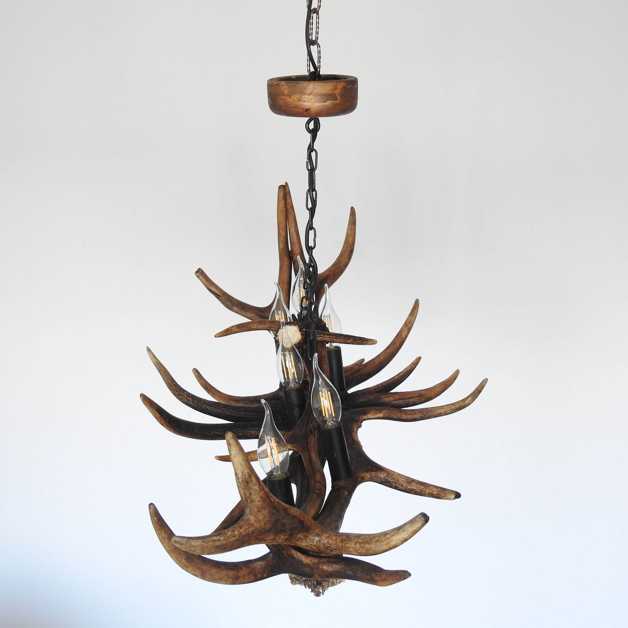 Antler chandelier hanging on chain.