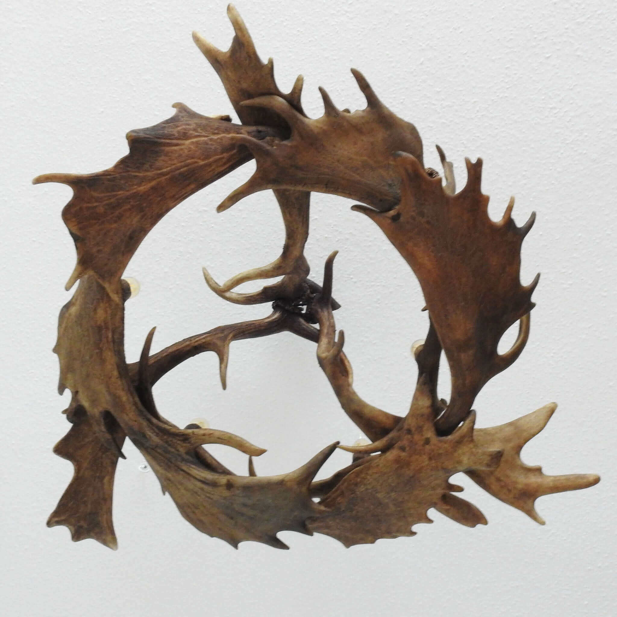 Antler chandelier, view from the bottom.