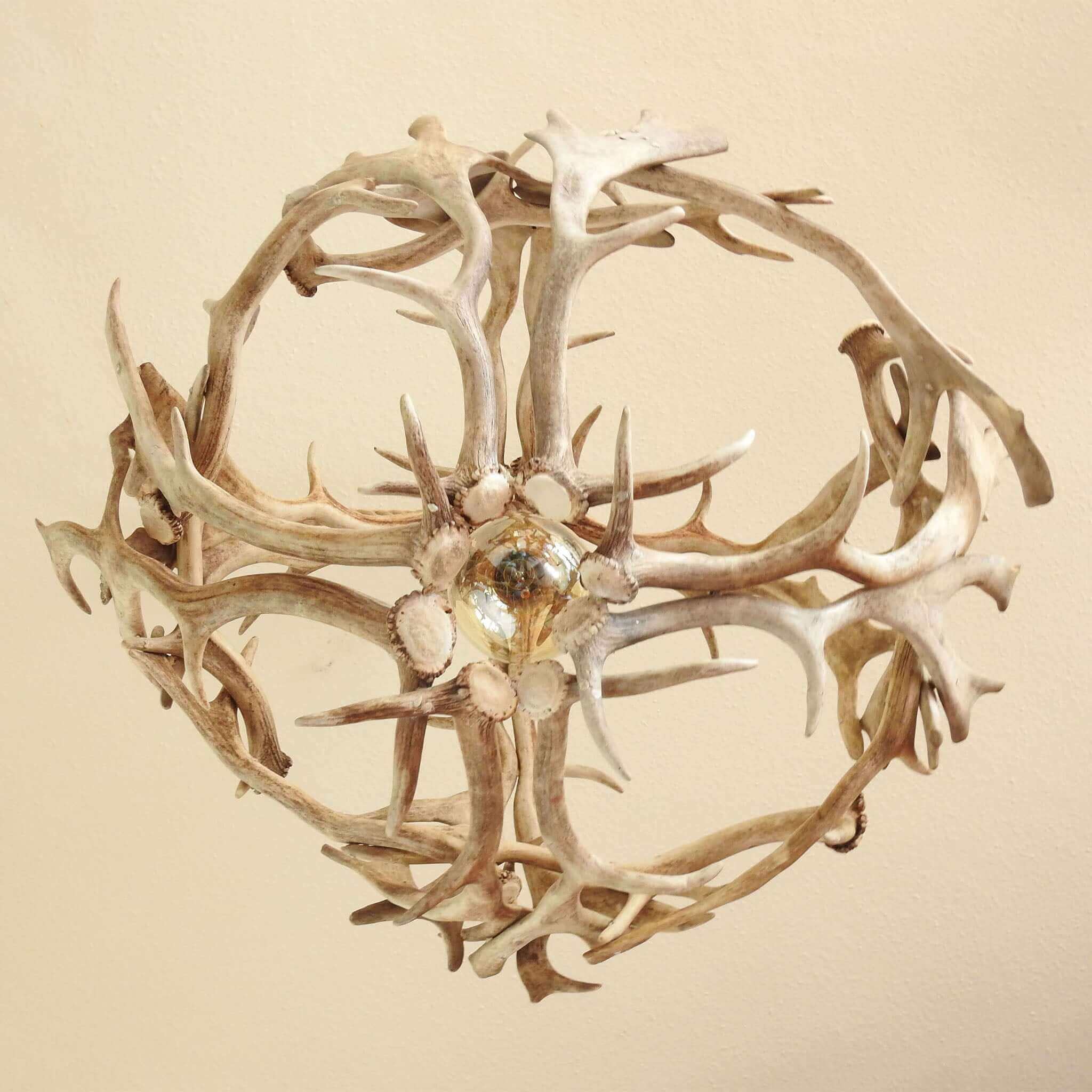 Real antler chadnelier hanging on rope.