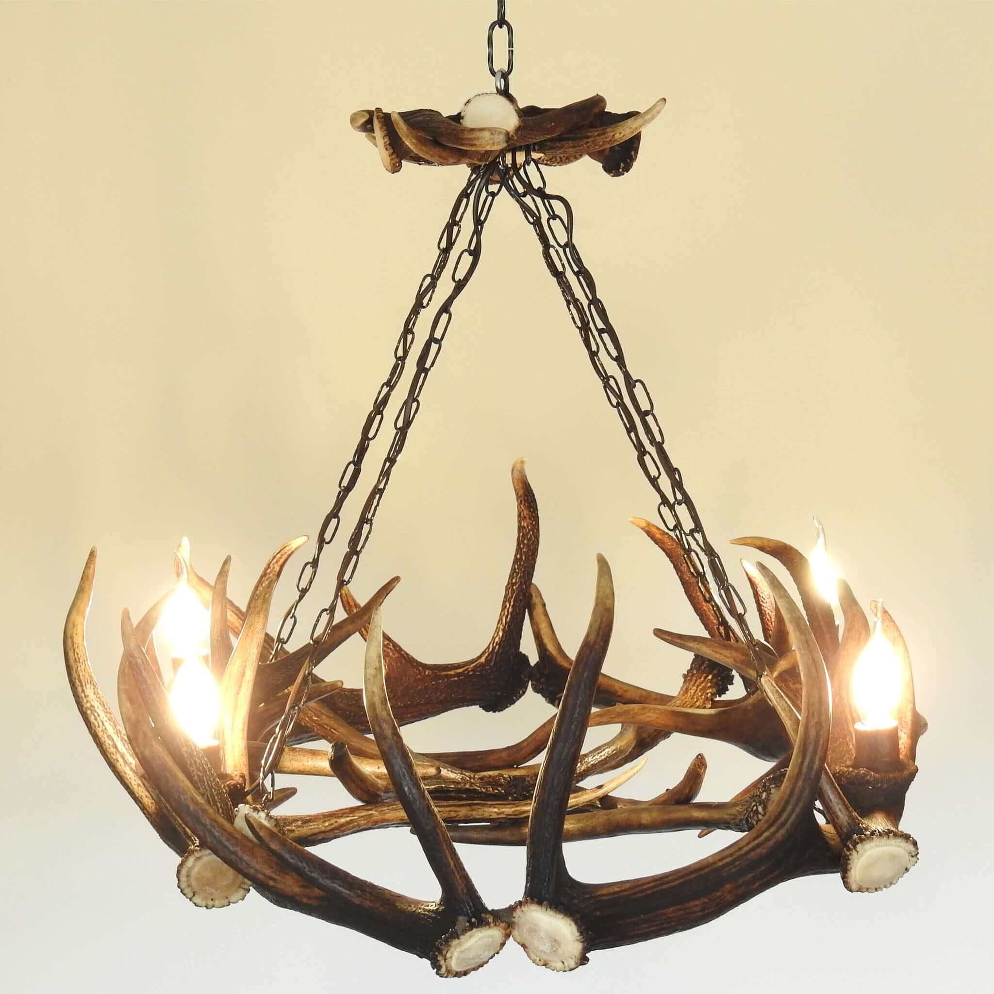 Deer antler lighting.