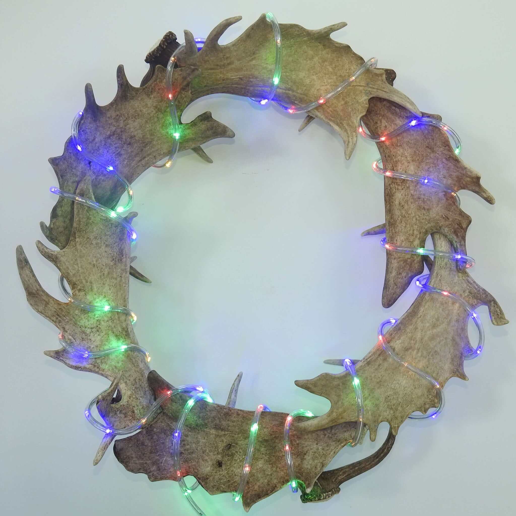 Fallow deer antler wreath.