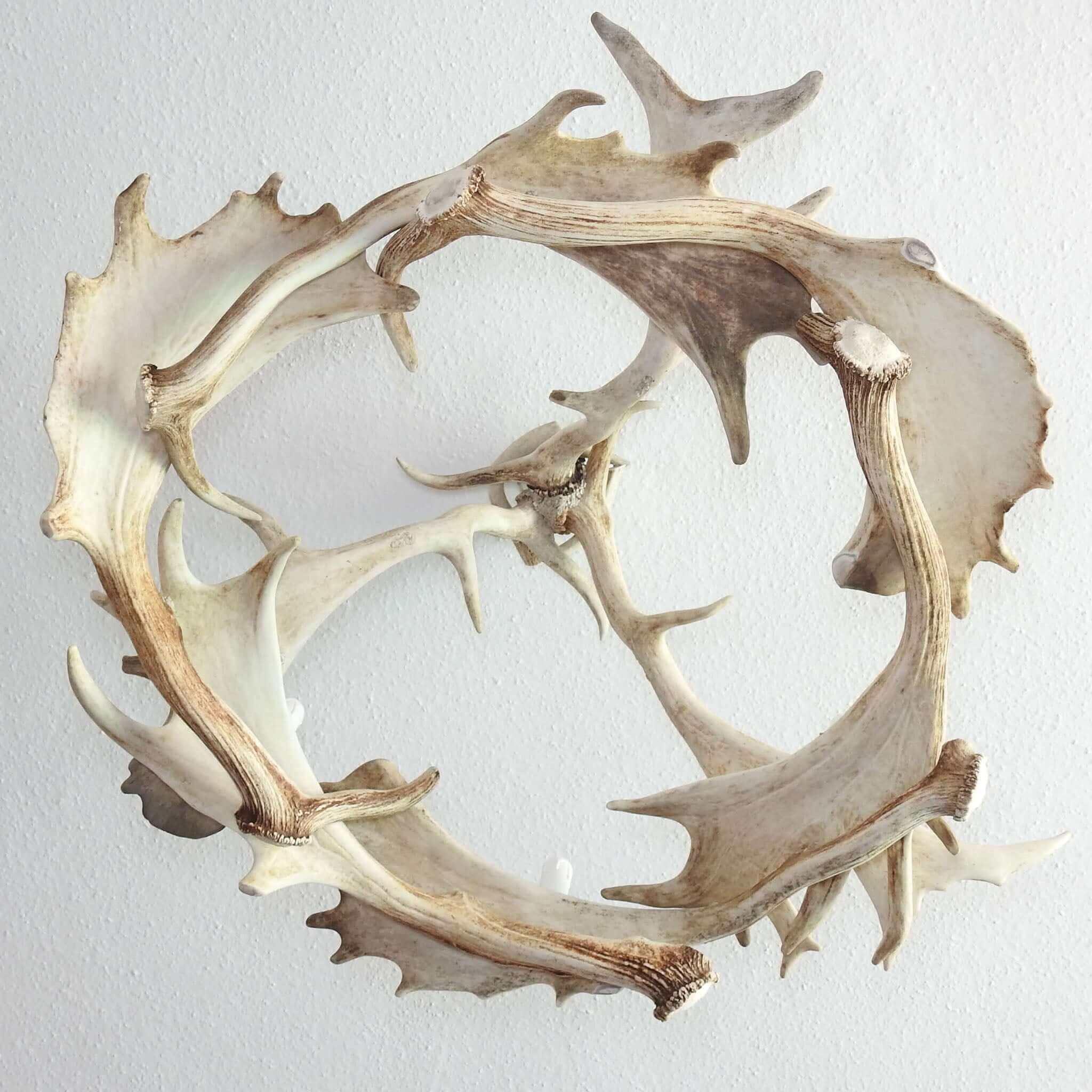 Deer antler lighting with candle bulb sockets.