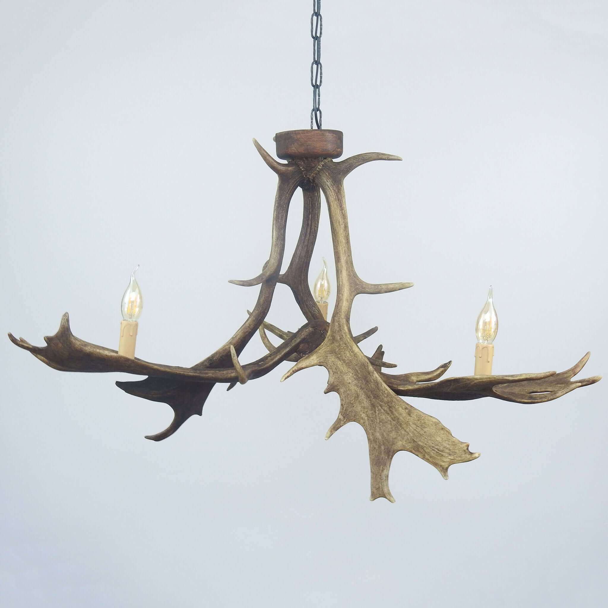 Fallow deer antler chandelier.