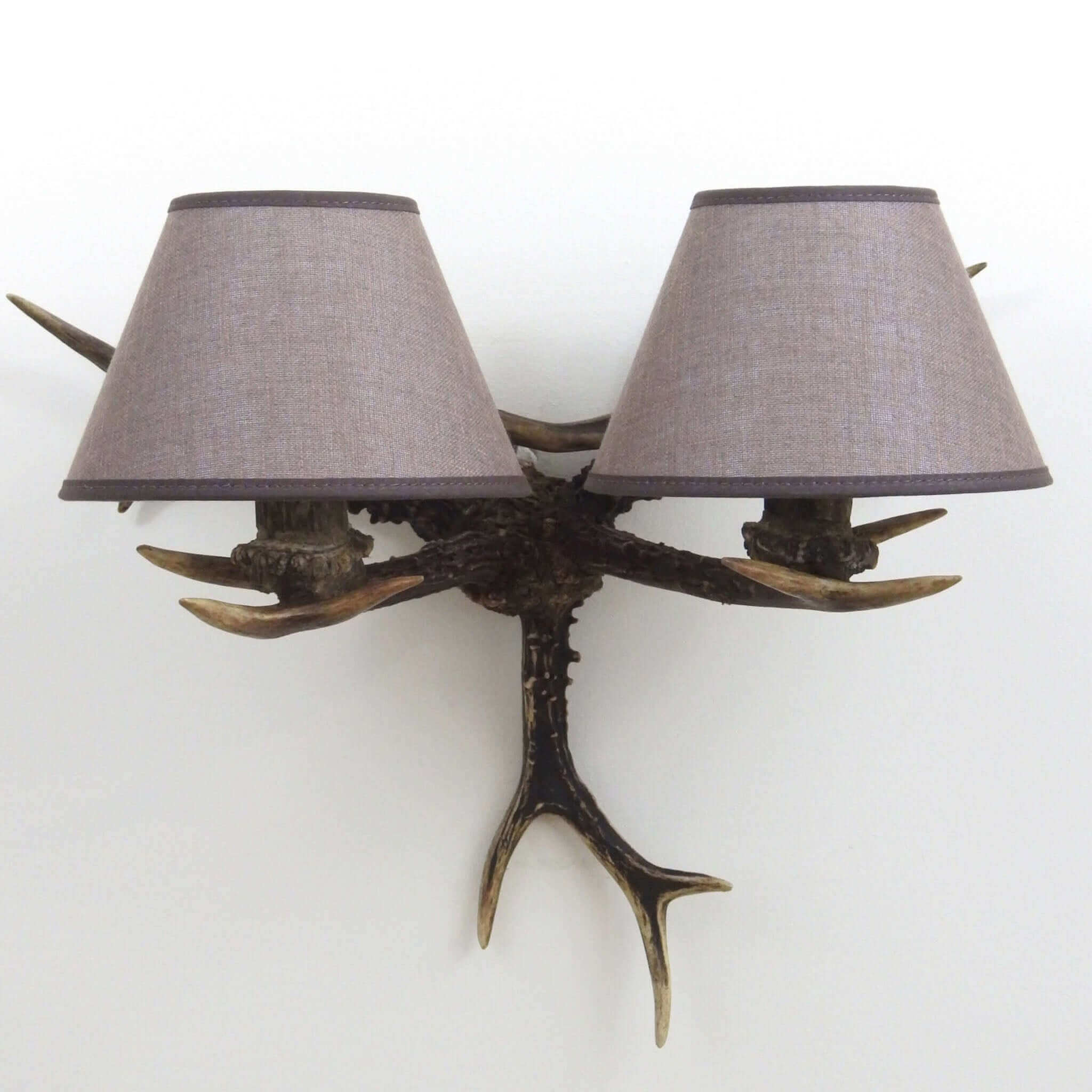 Real antler sconce for 2 lights.