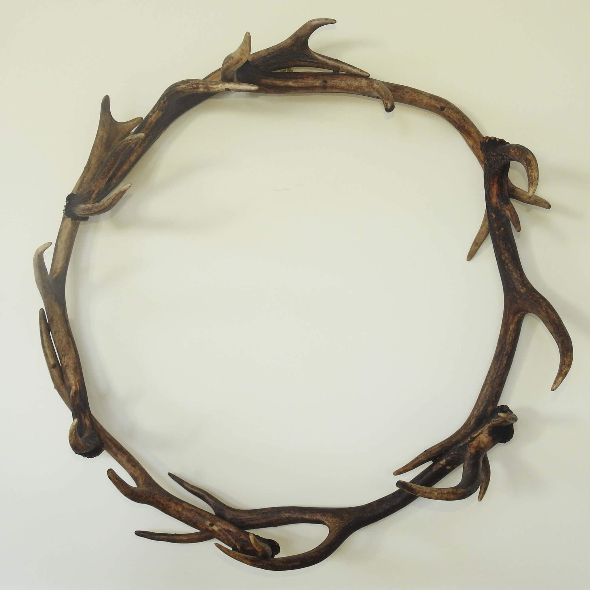 Red deer antler wall decor.