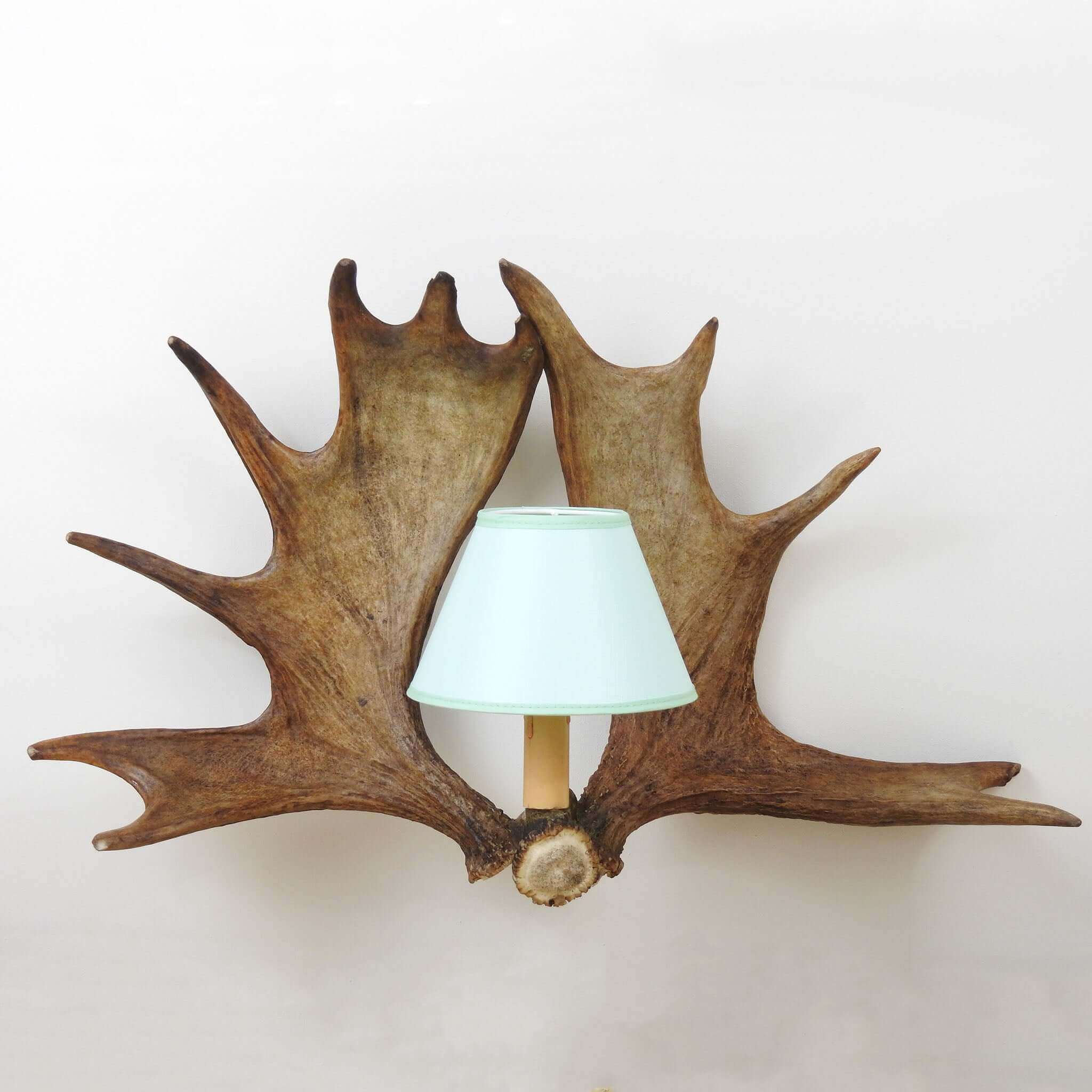 Moose antler wall light.