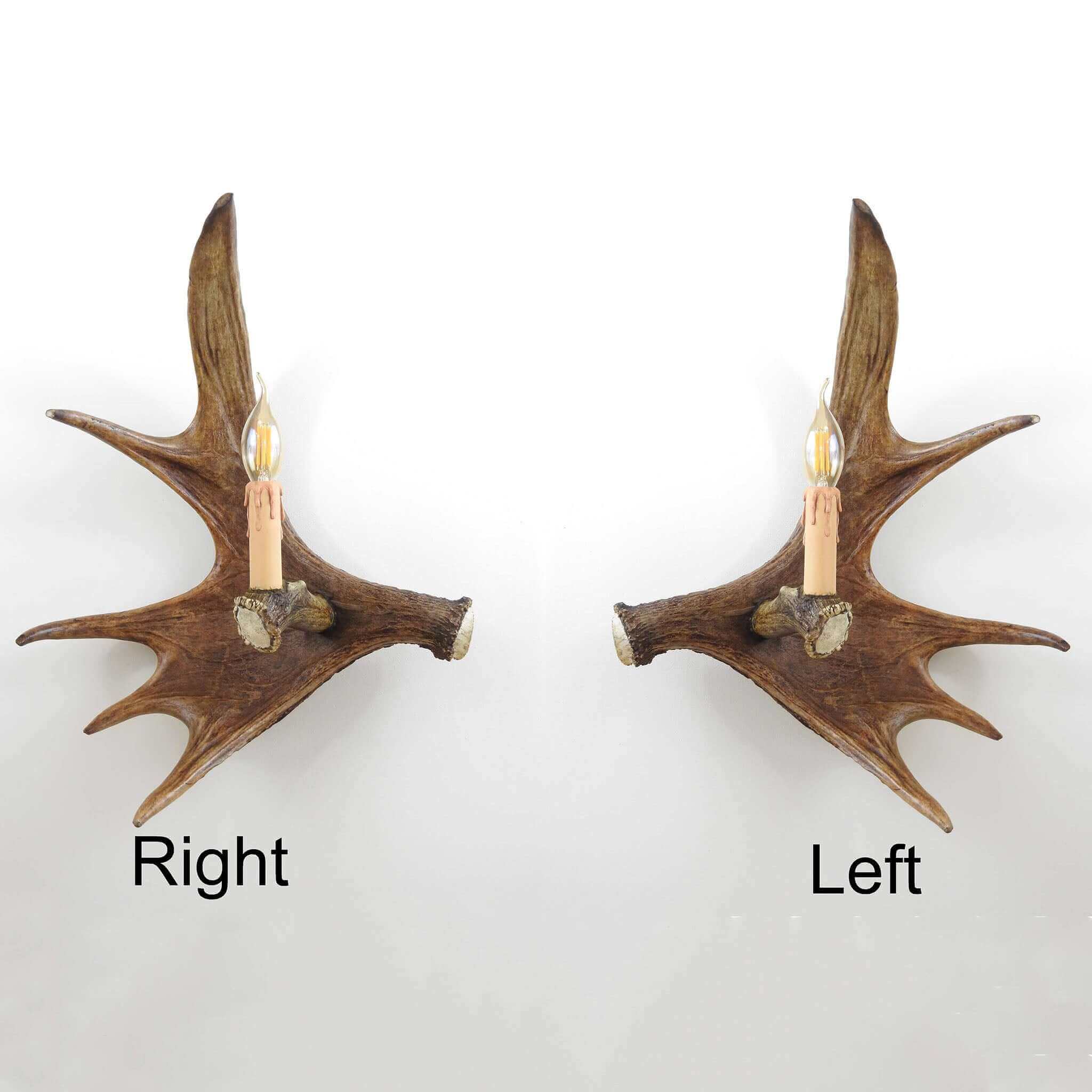 Real moose antler lighting for farmhouse.