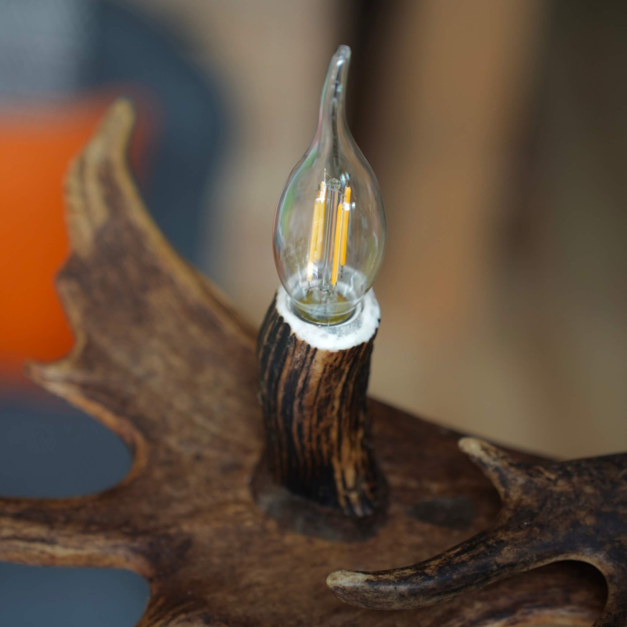 Three-light low antler chandelier, ideal for dining rooms or entryways with a nature-inspired theme.