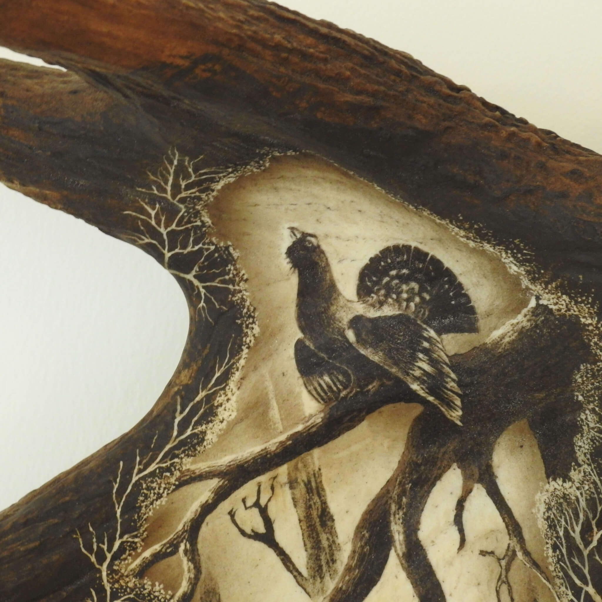 Capercaillie carved in moose antler.