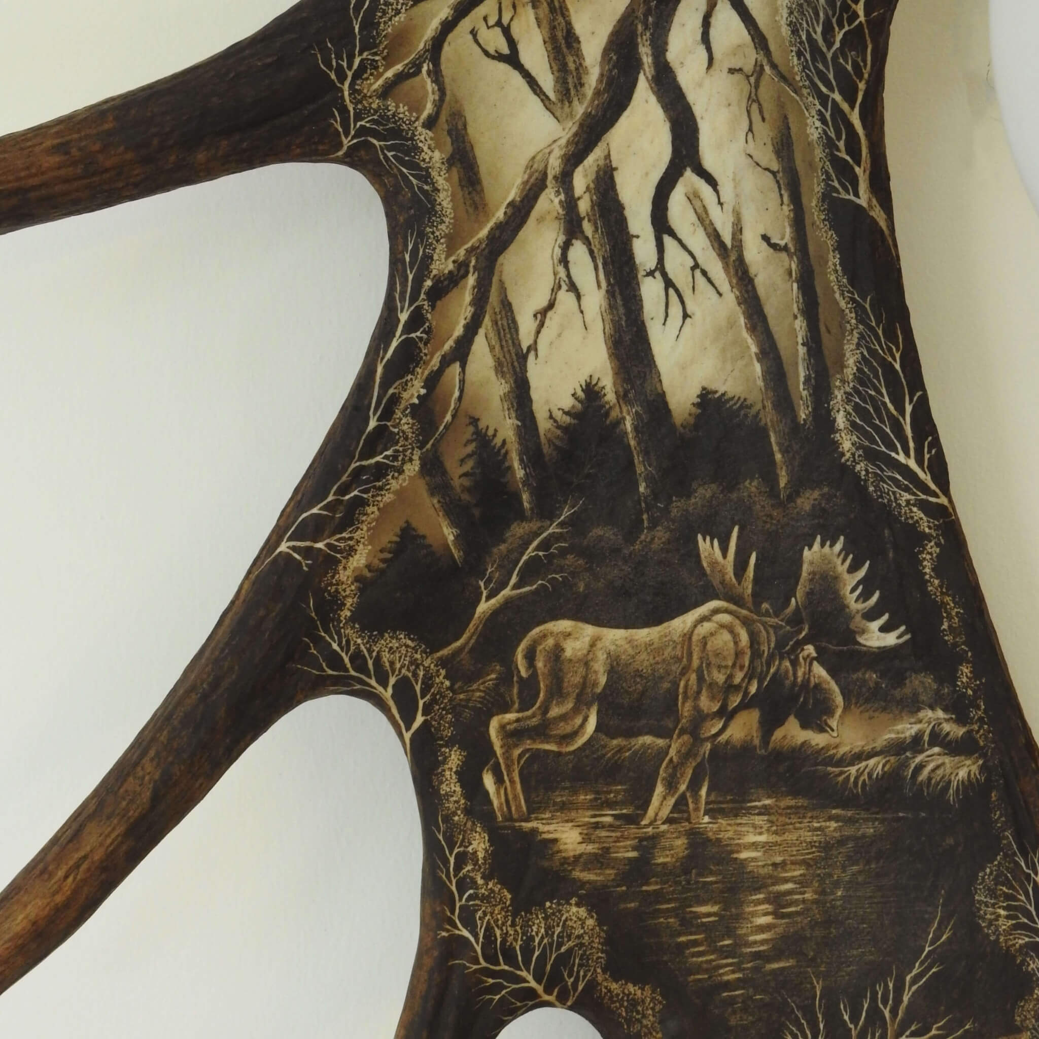 Carving of male of moose.