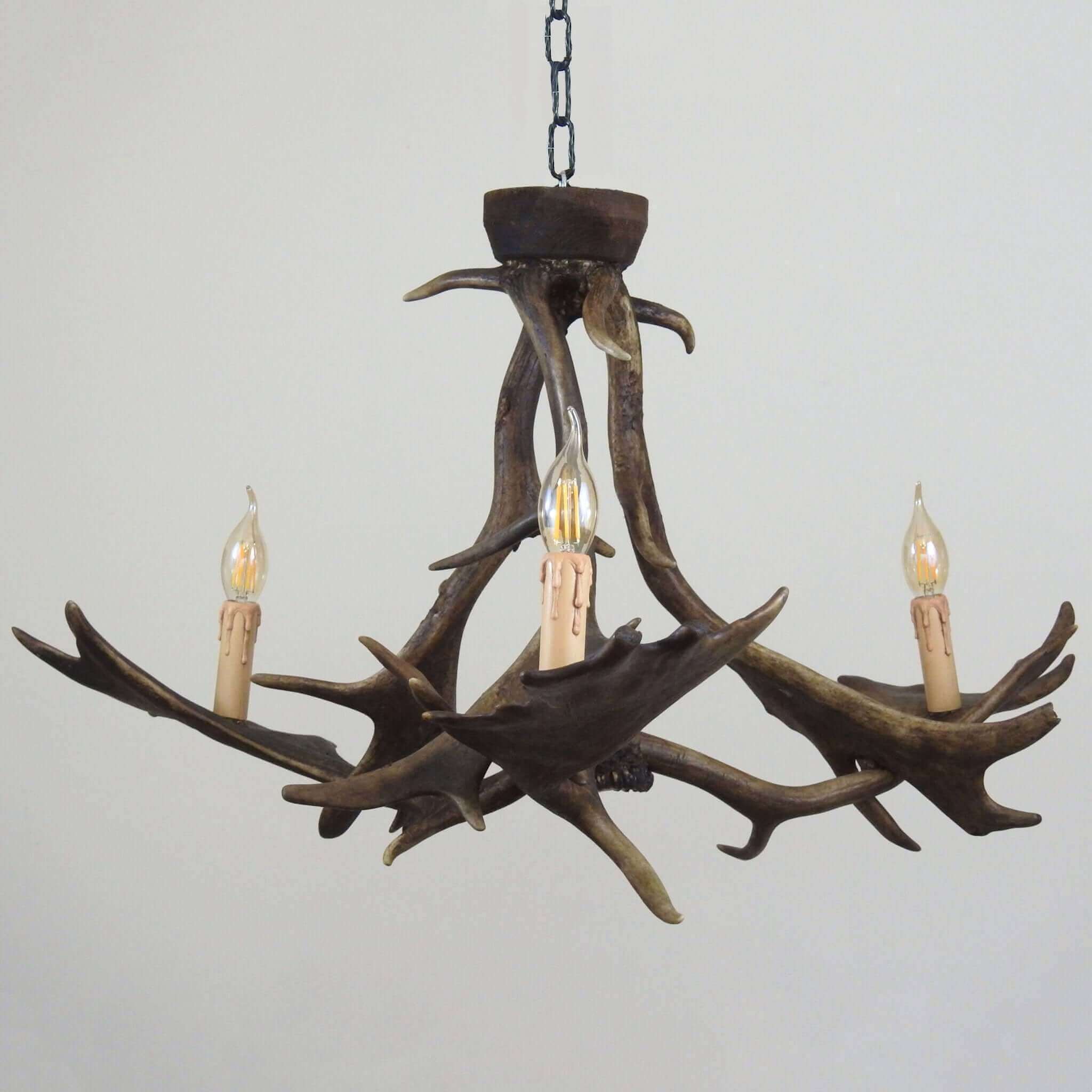 Small antler chandelier.