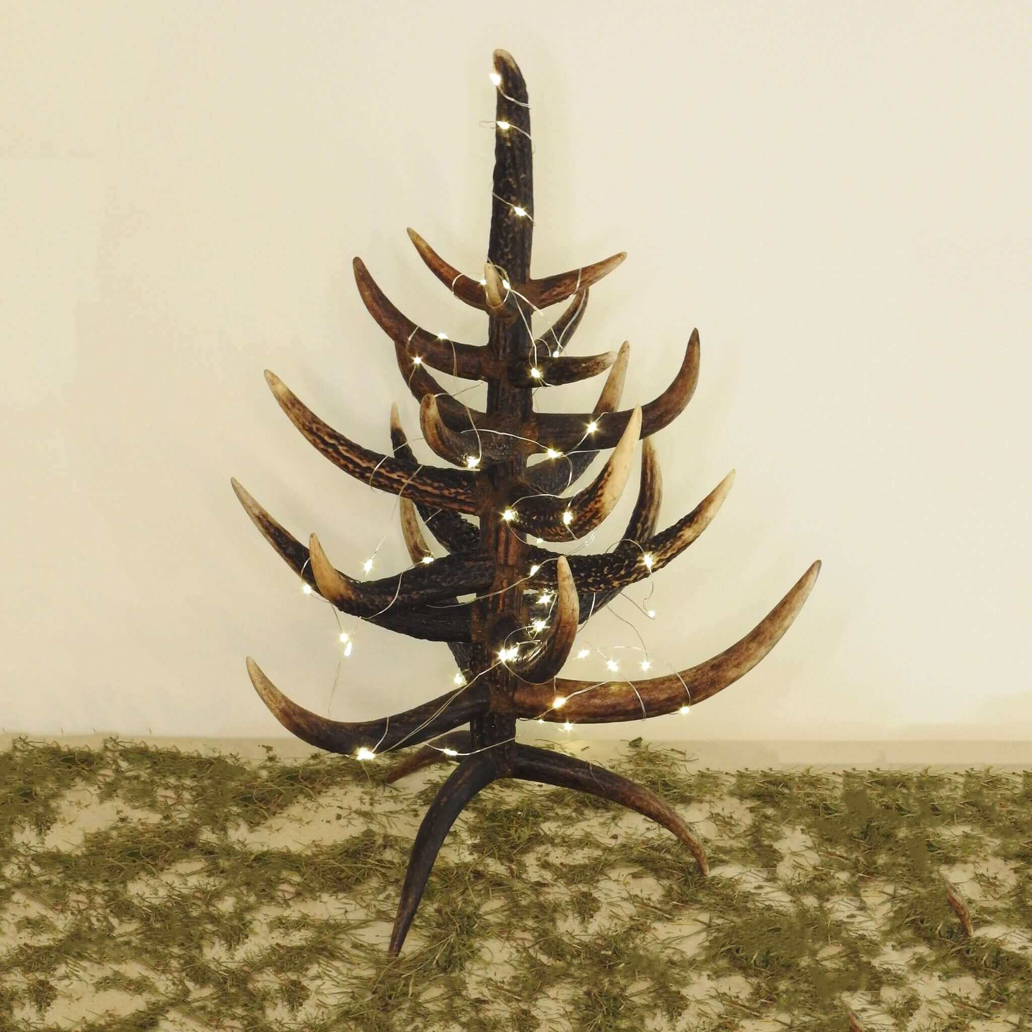 Real antler decor.