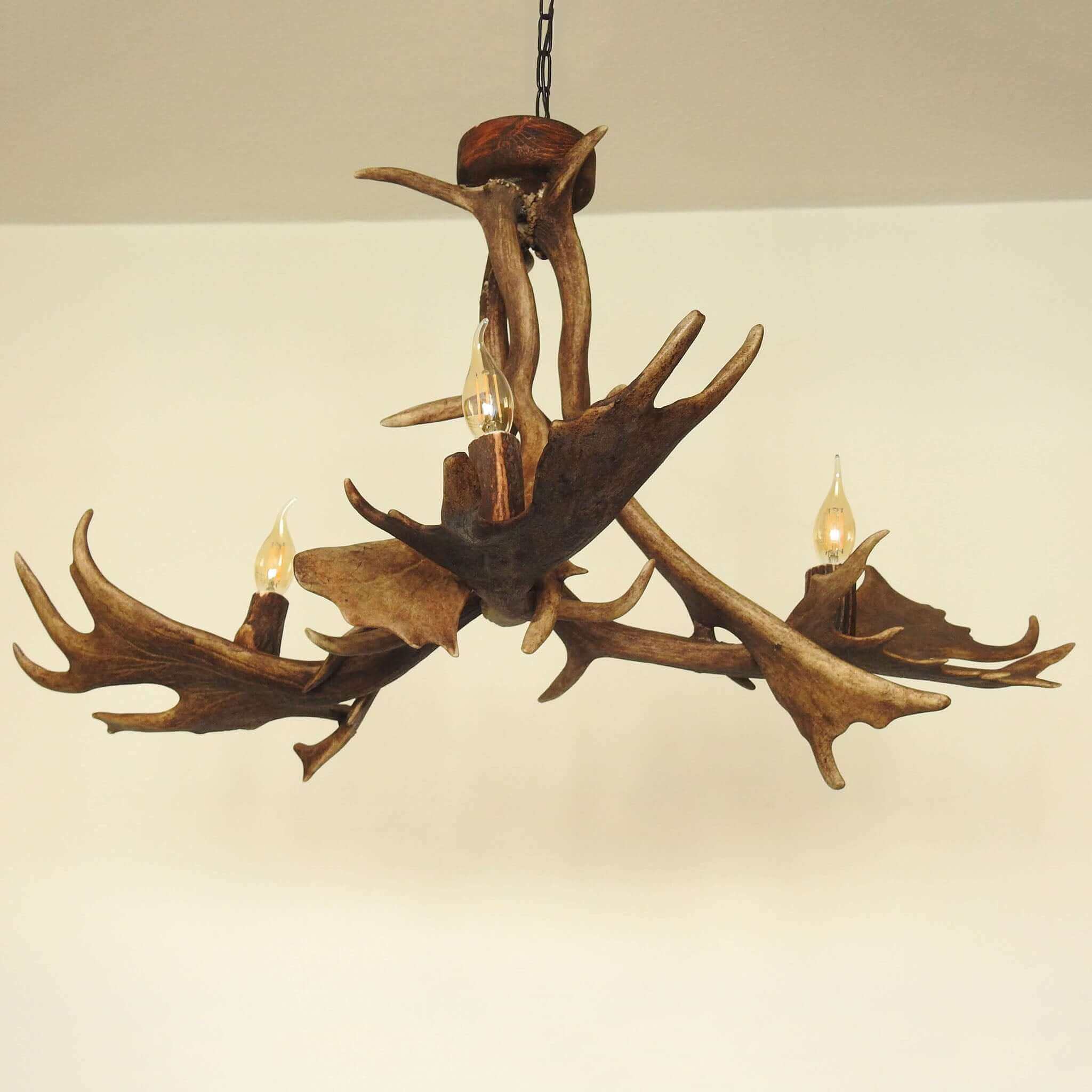 Antler chandelier for 3 lights.