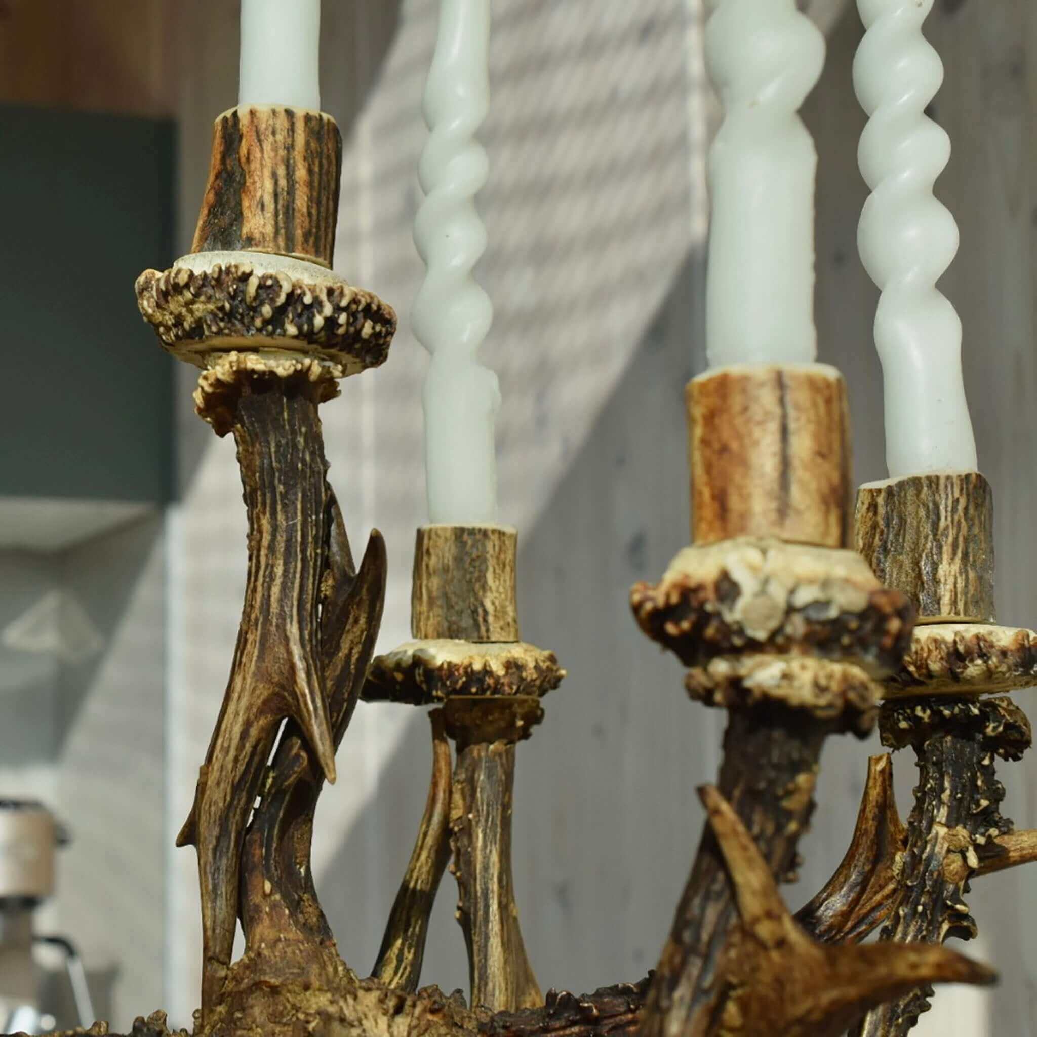 Deer antler candelabra.
