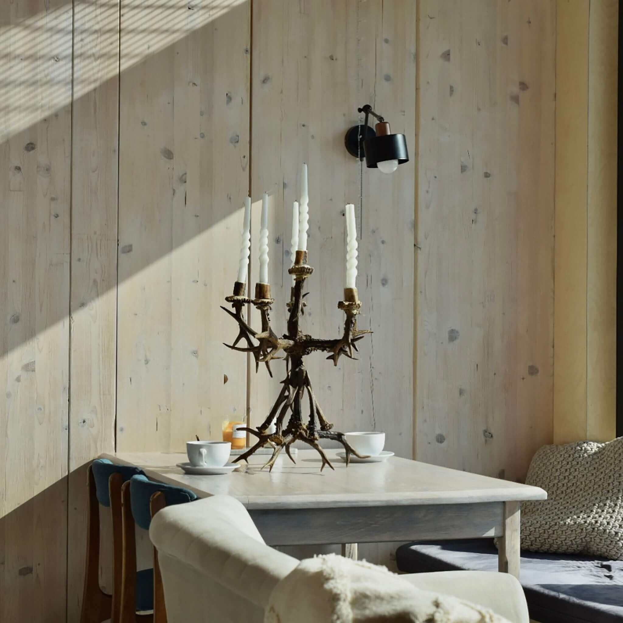 Antler decor in rustic style.