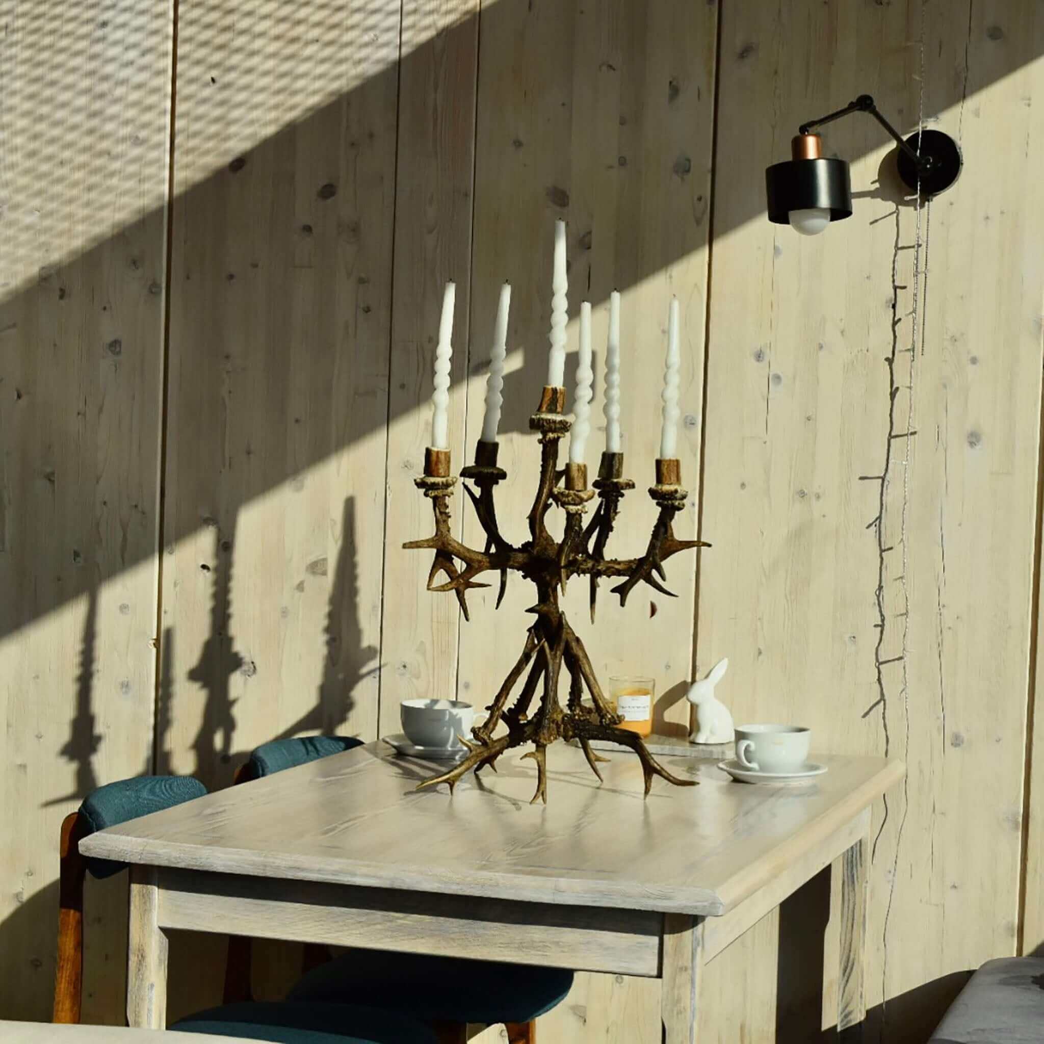 Real deer antler decor.