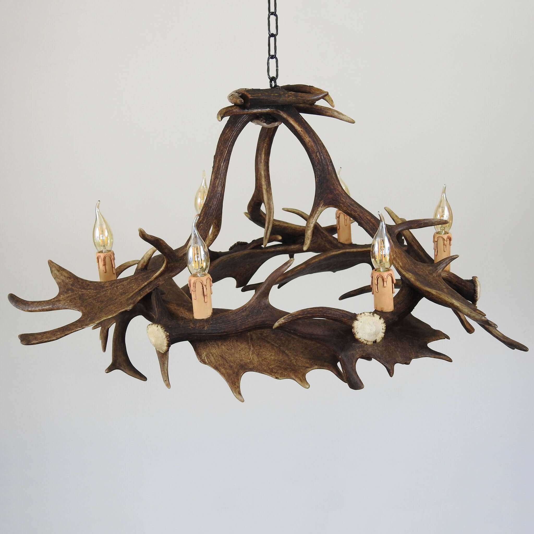 Fallow deer antler chandelier for modern home.