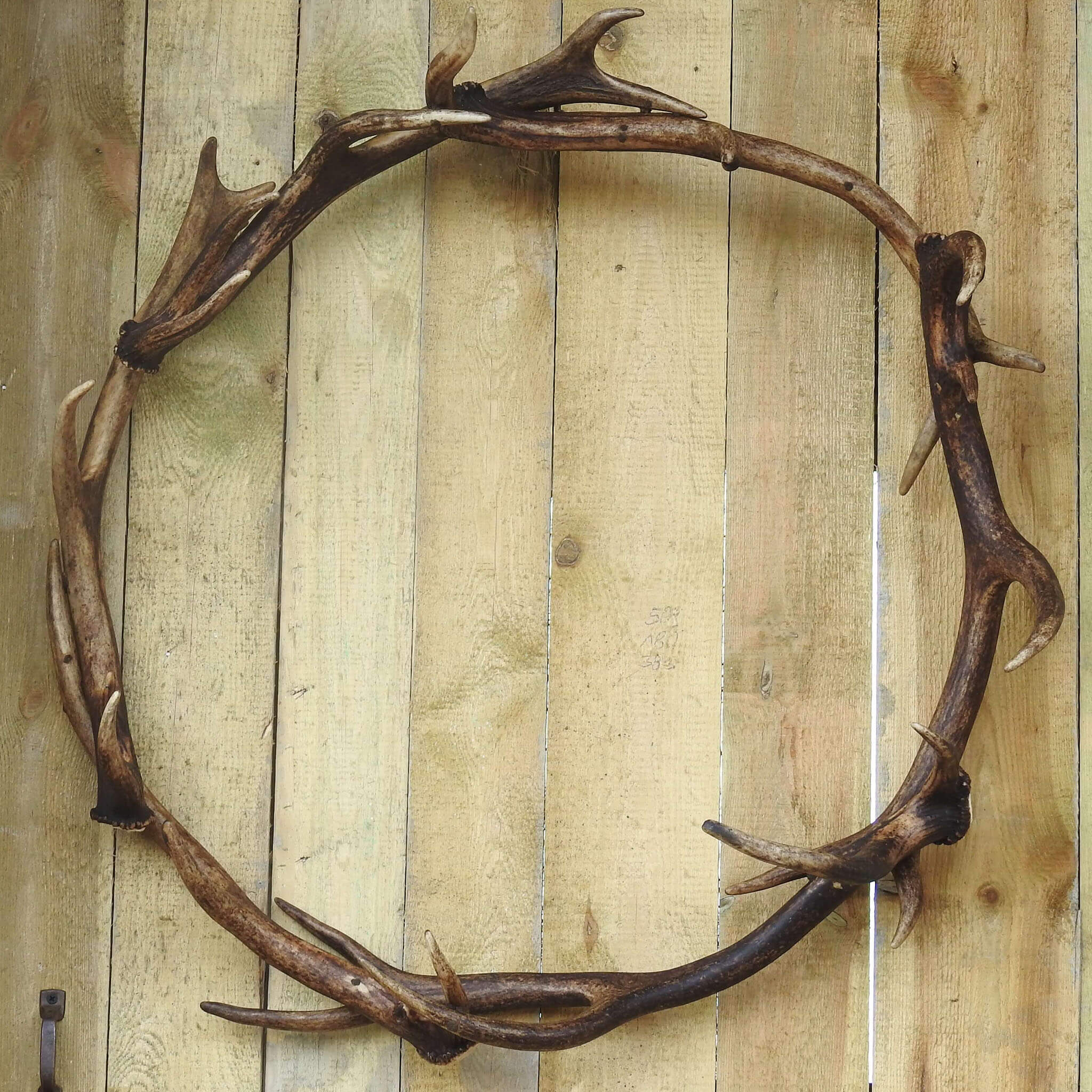 Antler ornament - wreath to hang on door.
