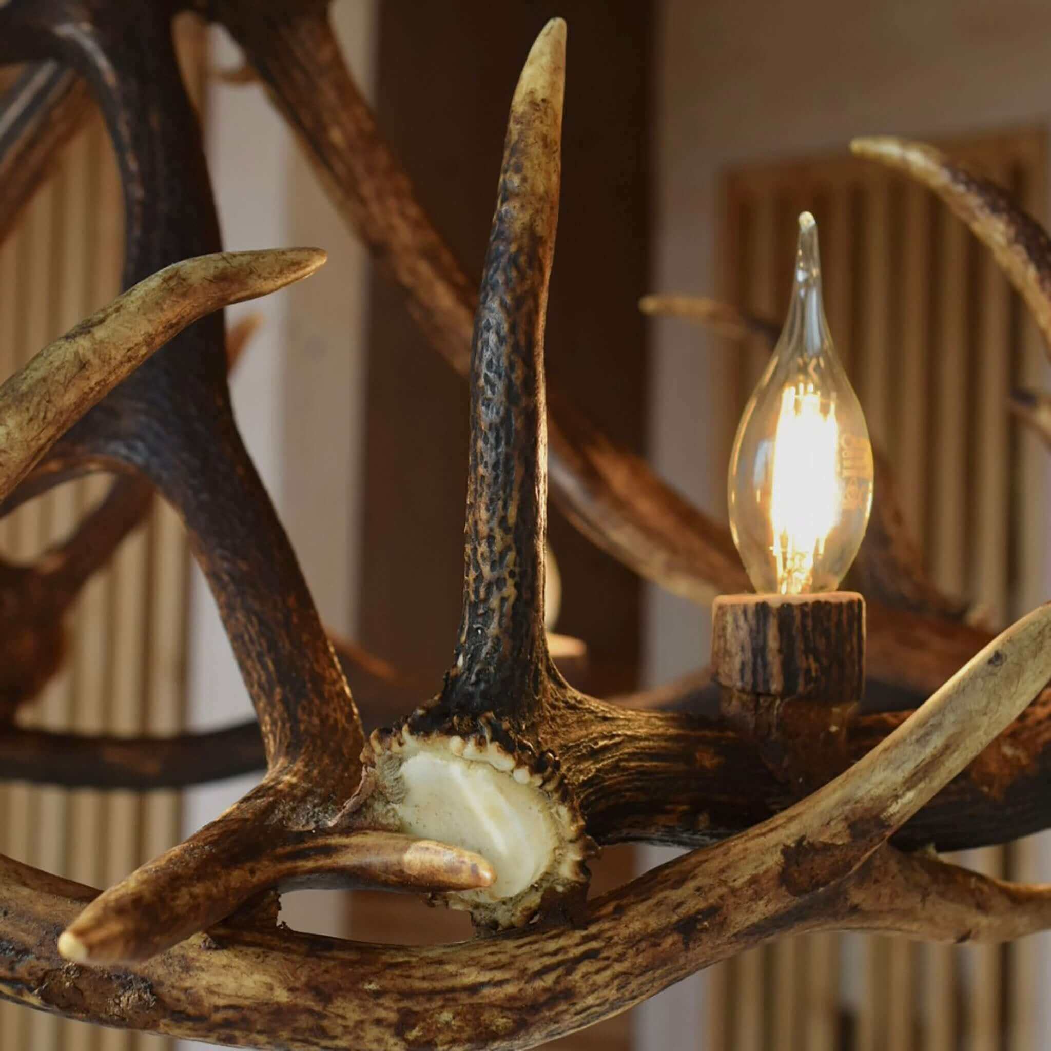 Details of real deer antler chandelier.