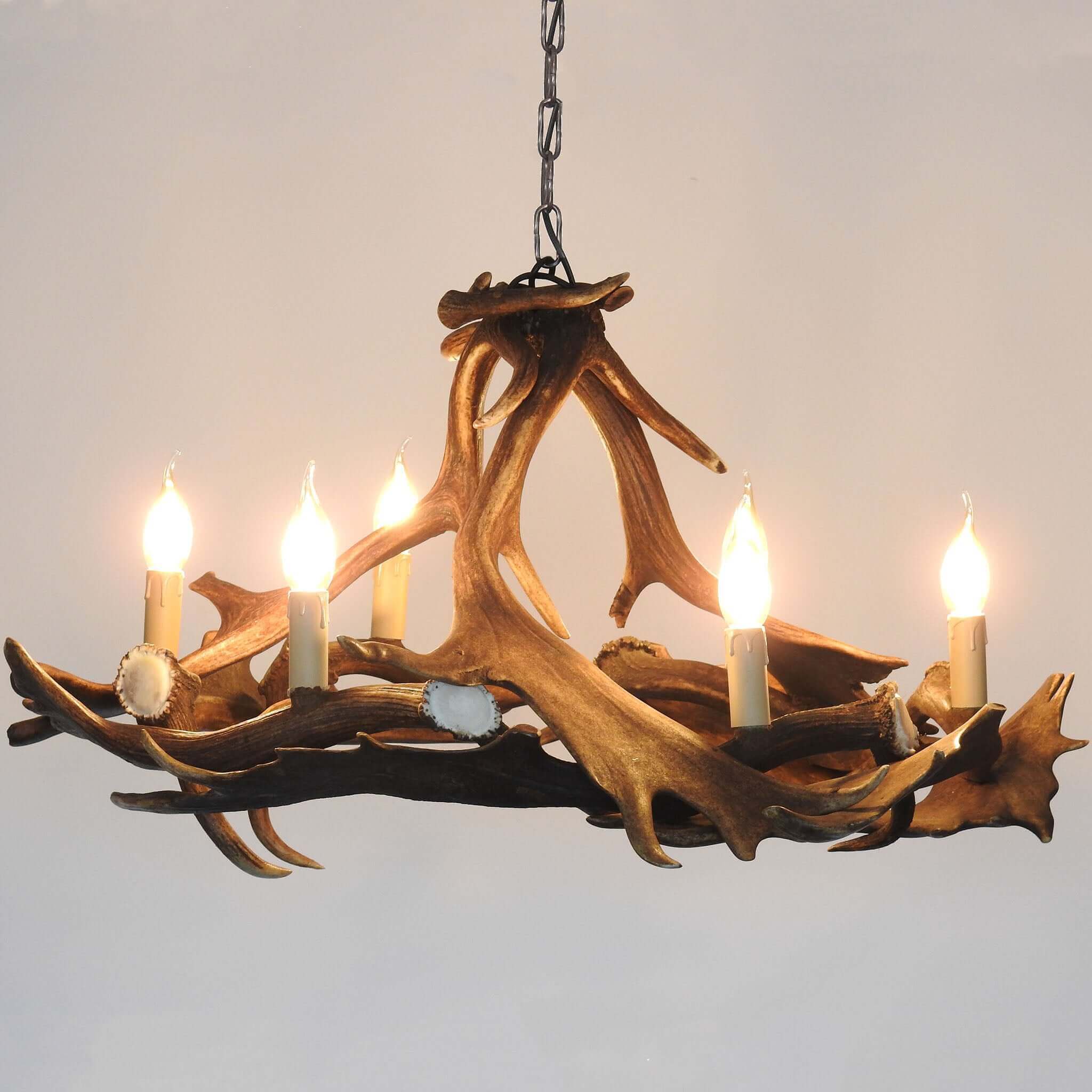 Antler pendant lamp.