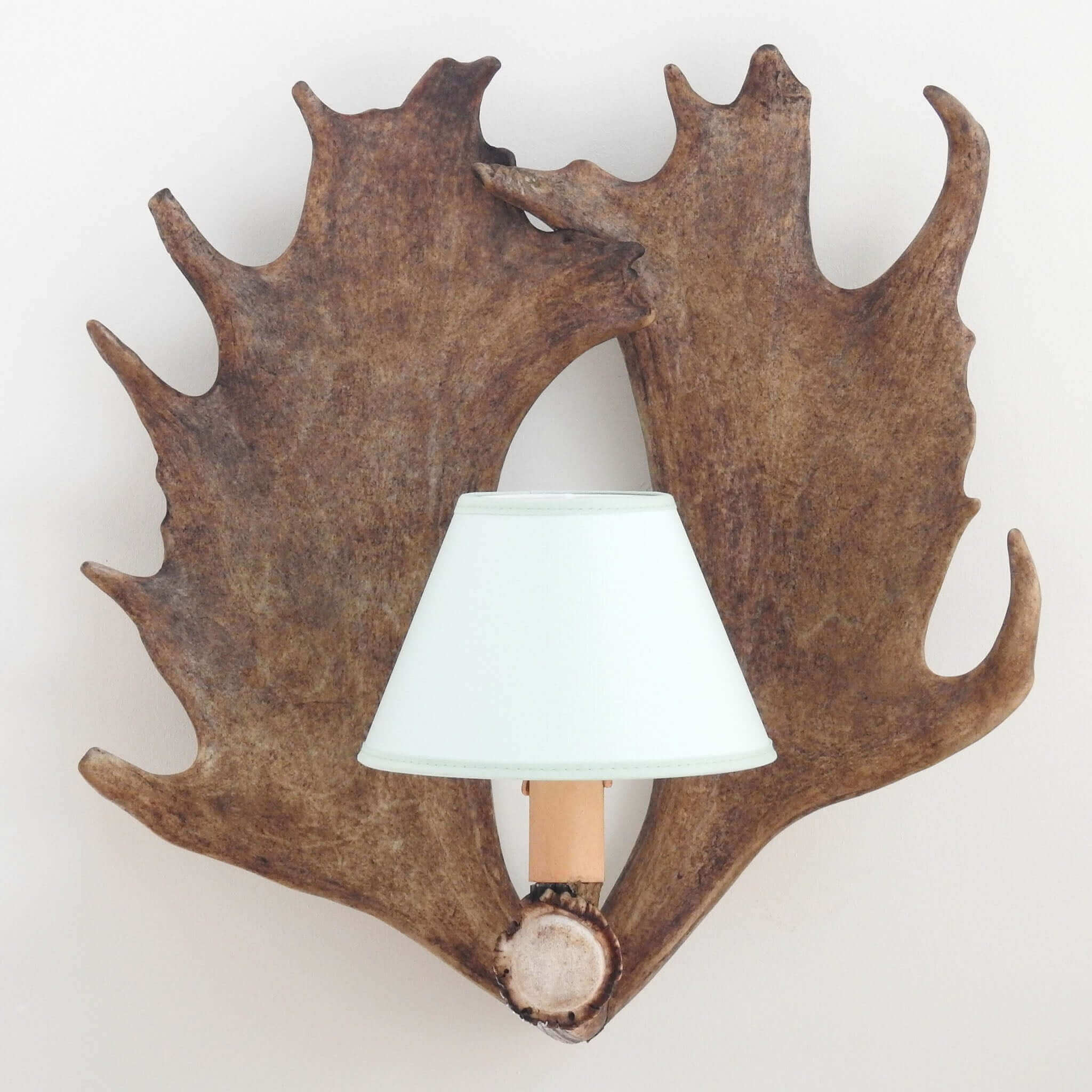 Small antler sconce with 1 bulb pointed up.