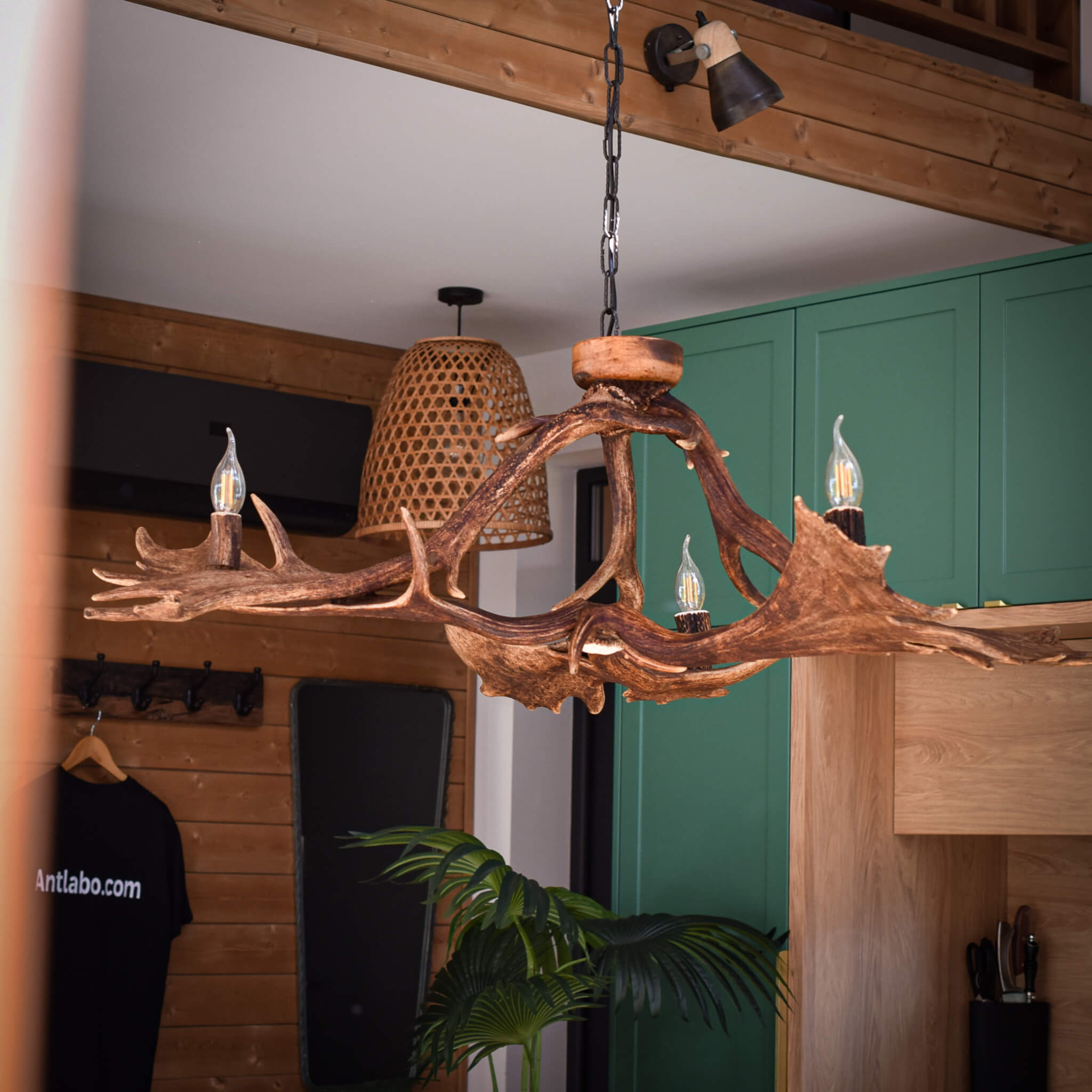 Natural antler design chandelier with three lights, suitable for rustic or farmhouse decor.
