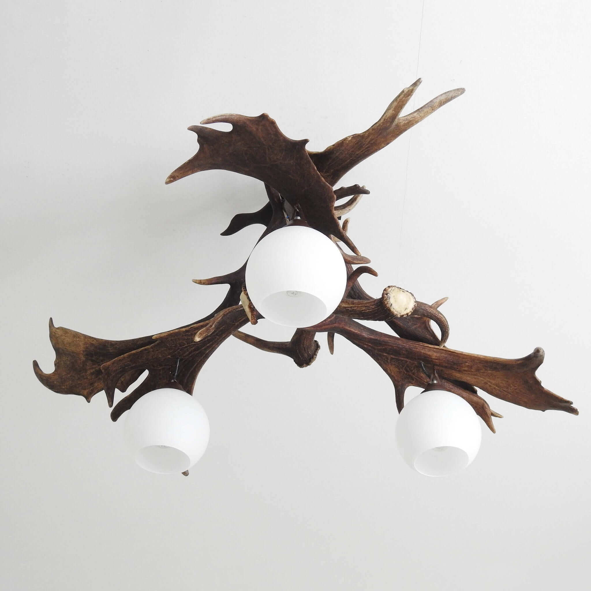 Fallow deer antler chandelier.