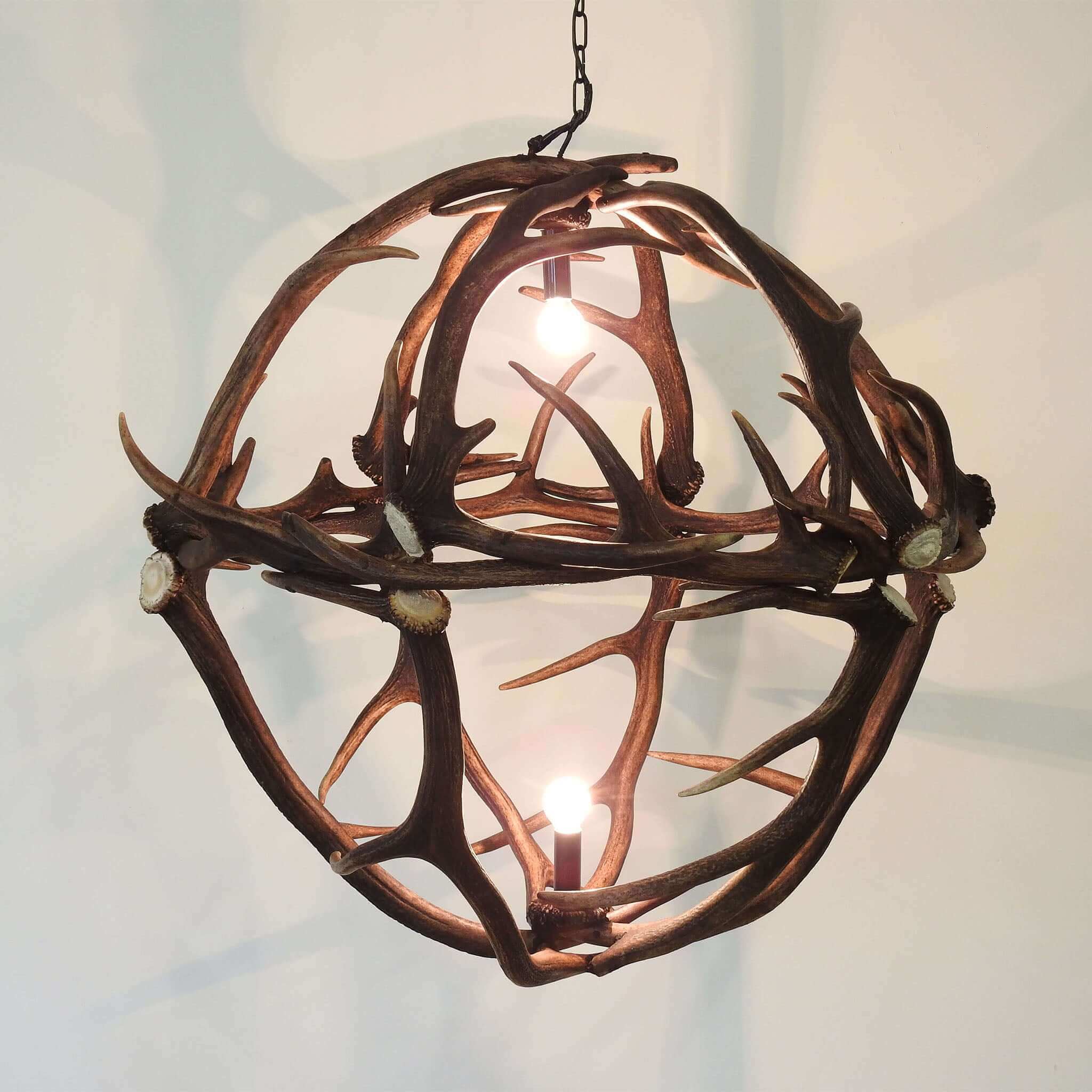 Real antler chandelier
