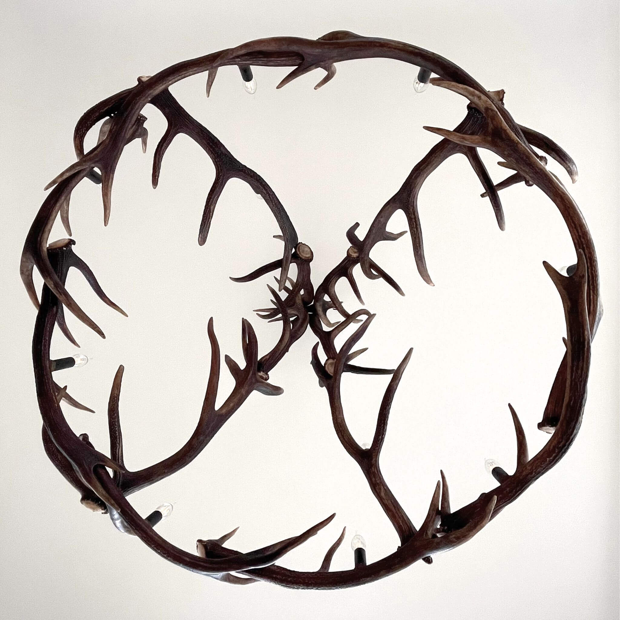 Real antler chandelier for 12 lights, view from the bottom.