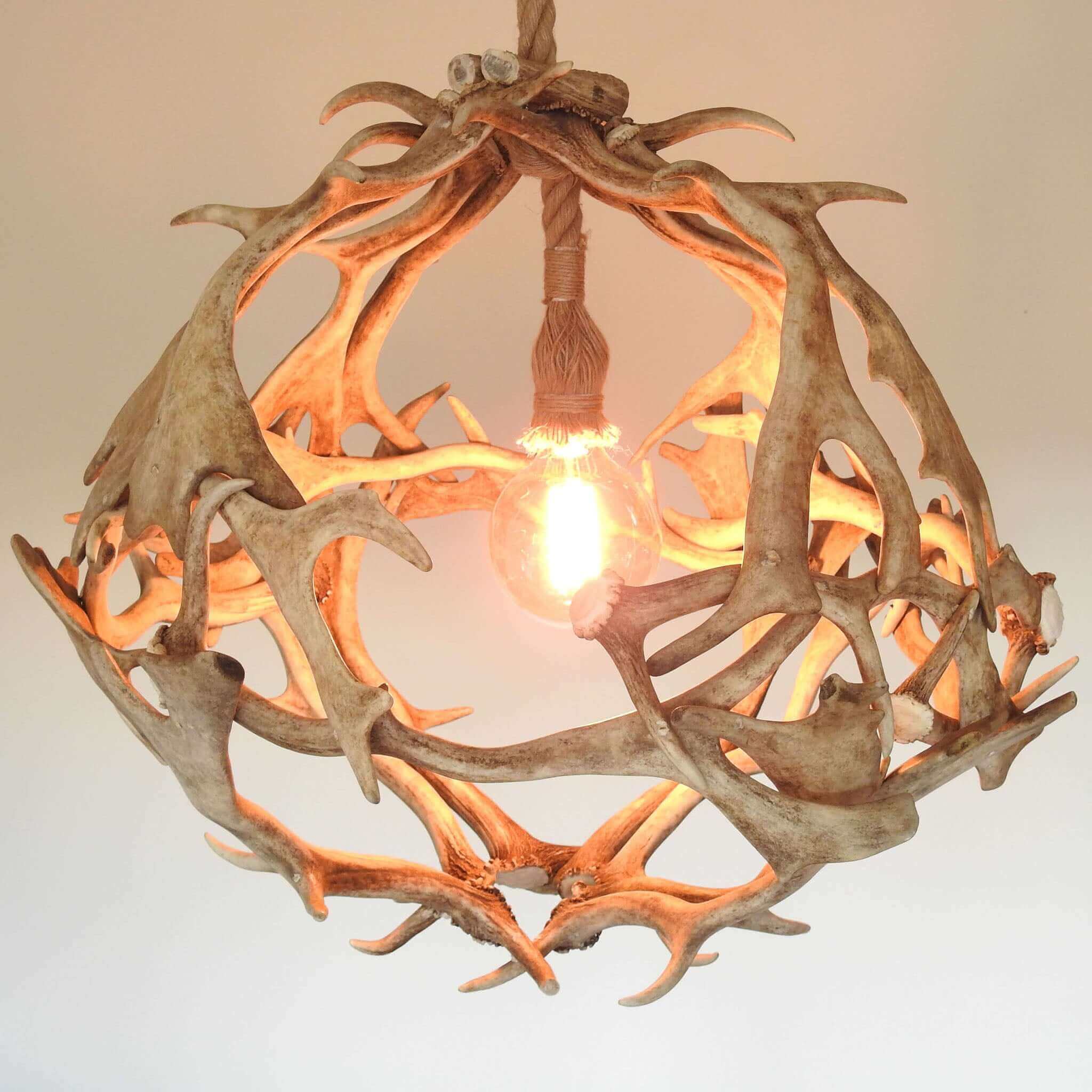 Antler light fixture made of fallow deer antlers.