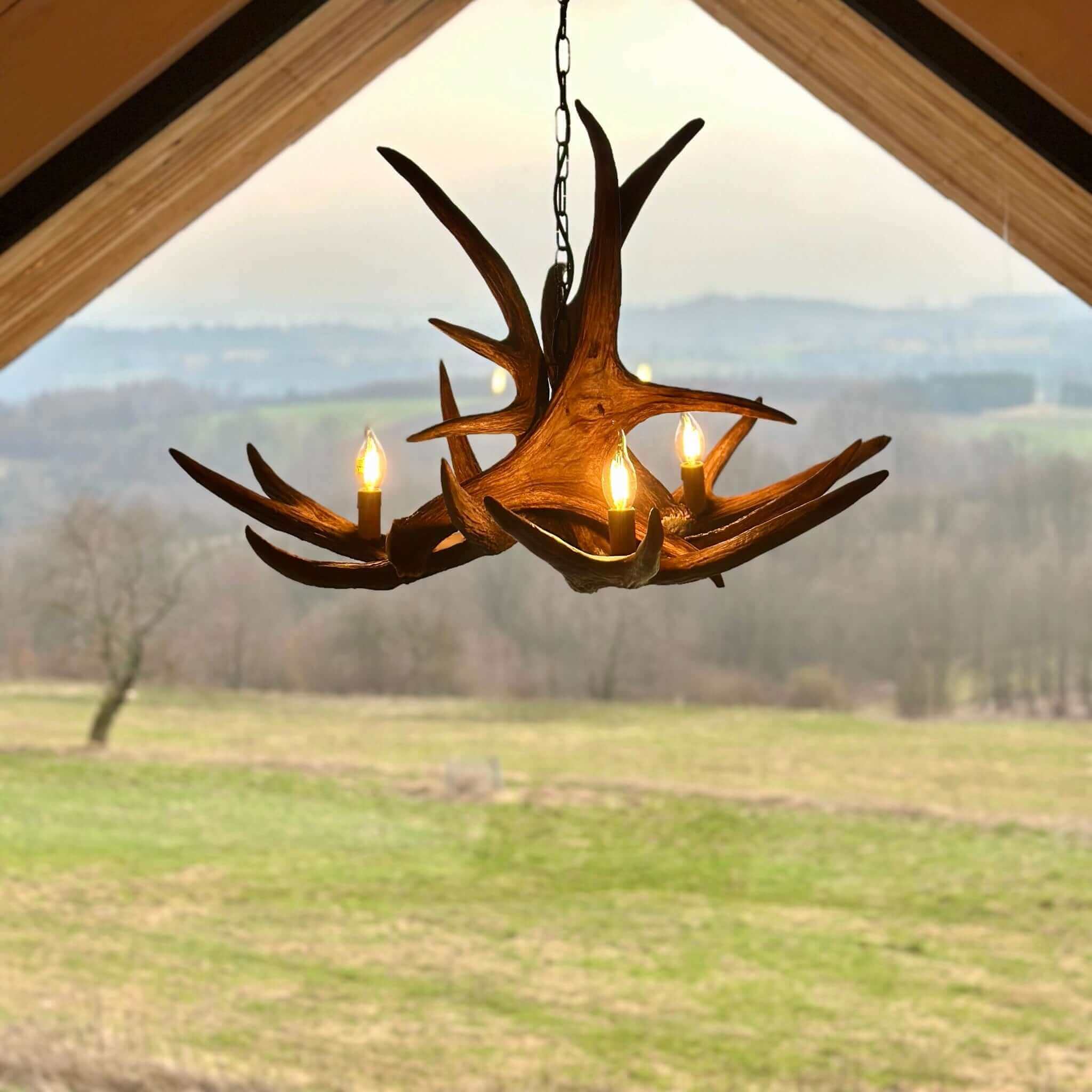 Large moose antler chandelier.