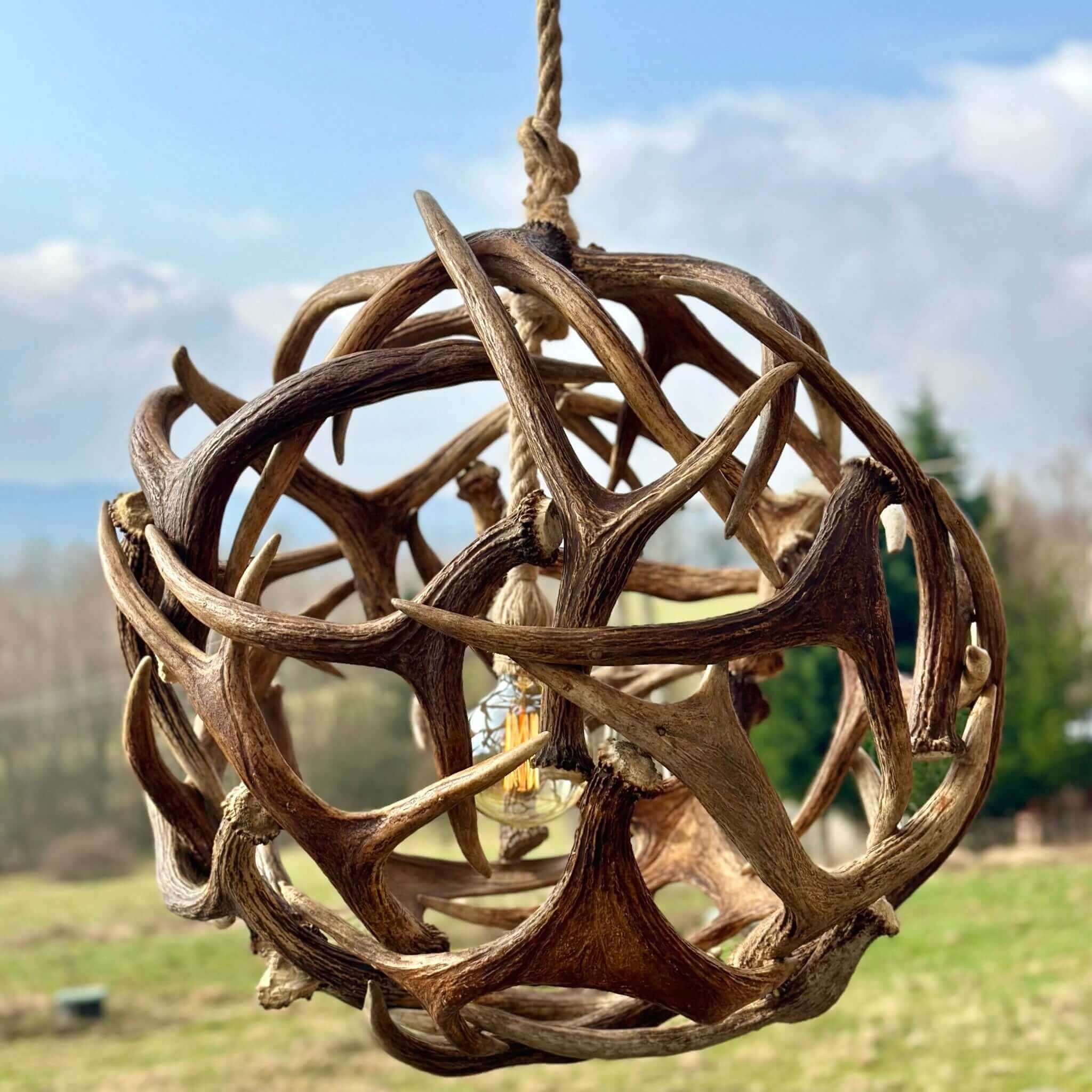Real moose antler chandelier.