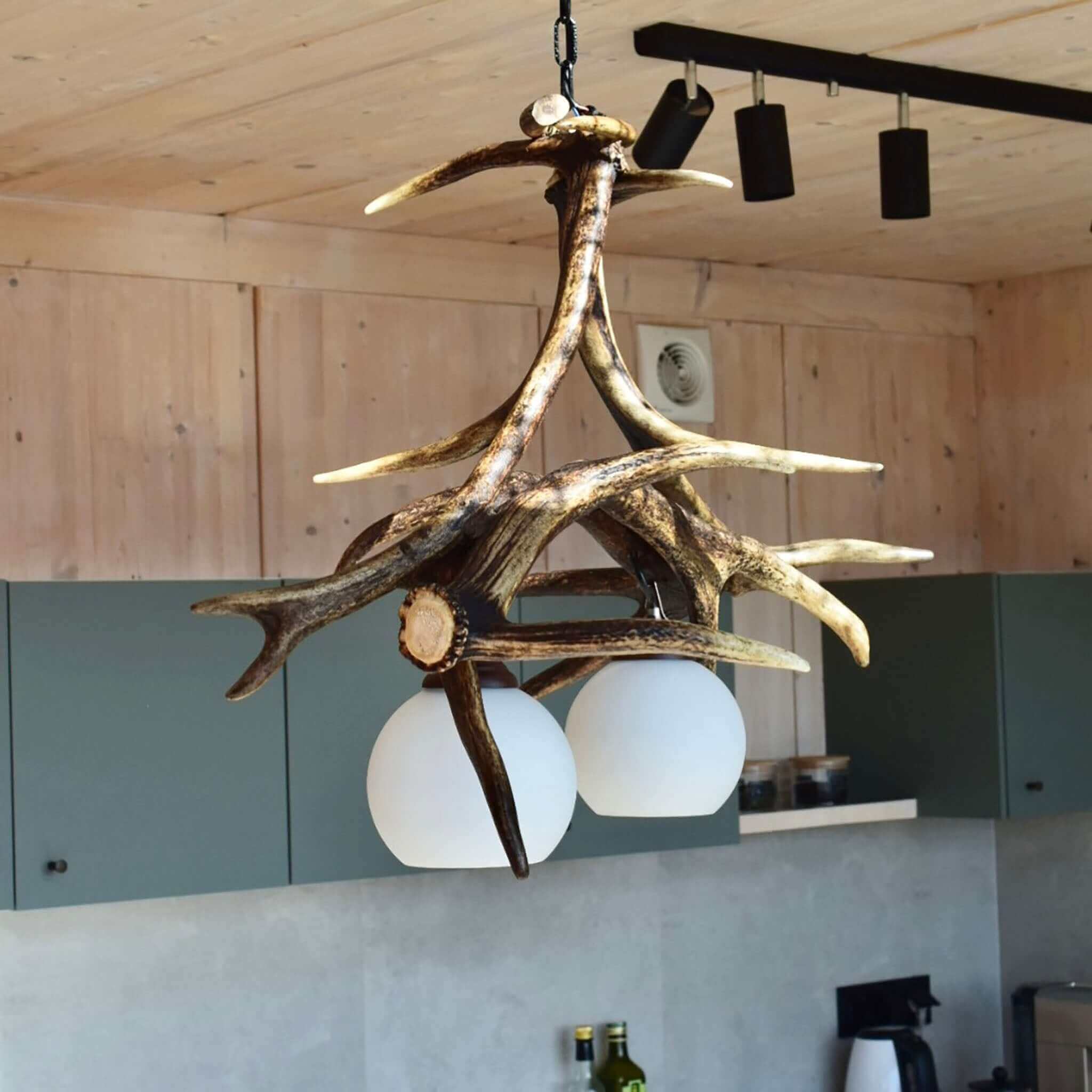 Small antler chandelier.