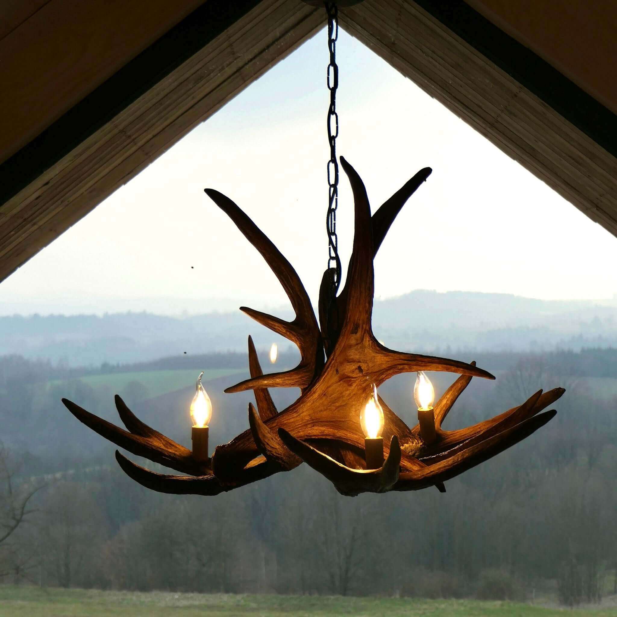 Moose antler chandelier hanging on chain.