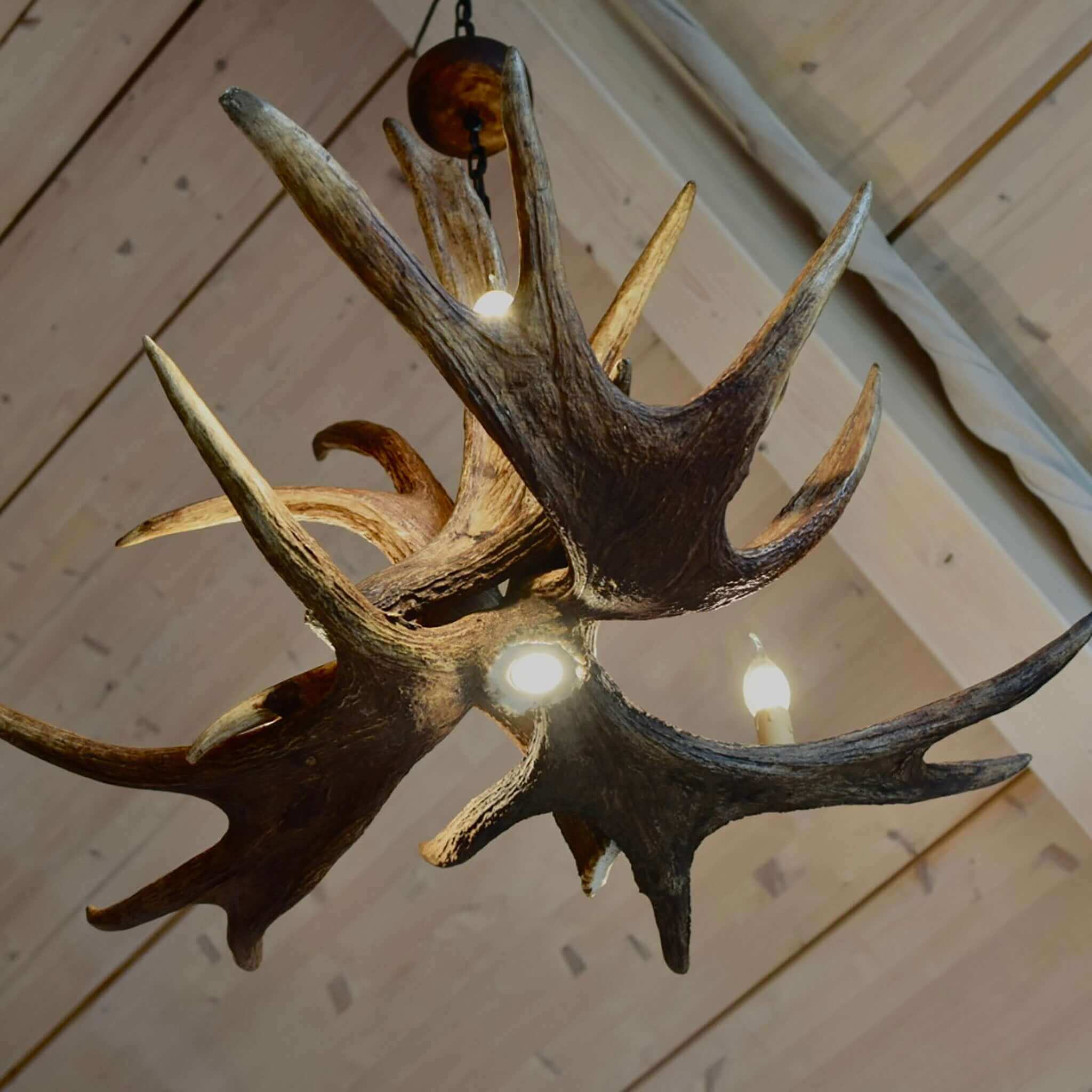 Moose antler chandelier with multi lighting system.