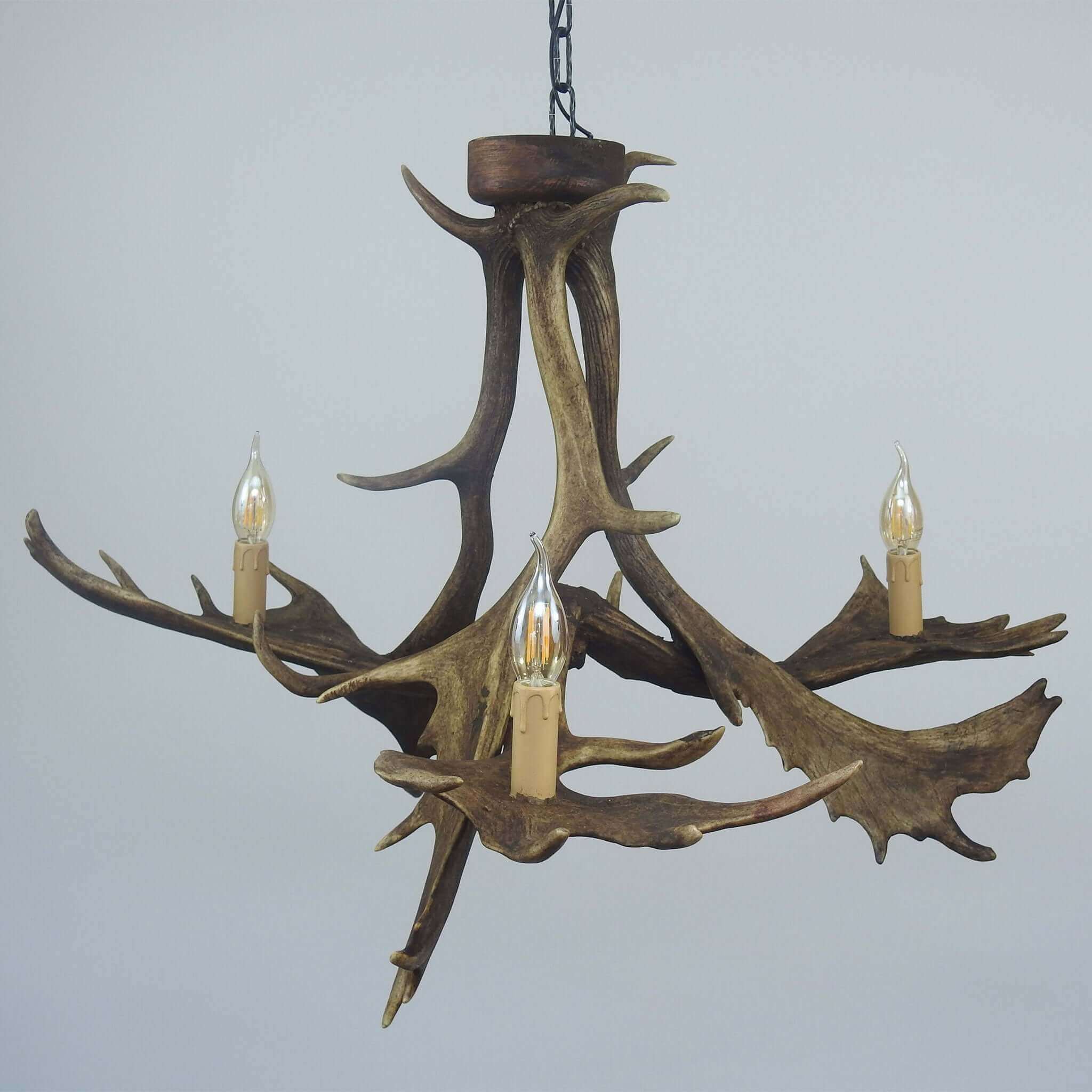 Fallow deer antler lamp for 3 lights.