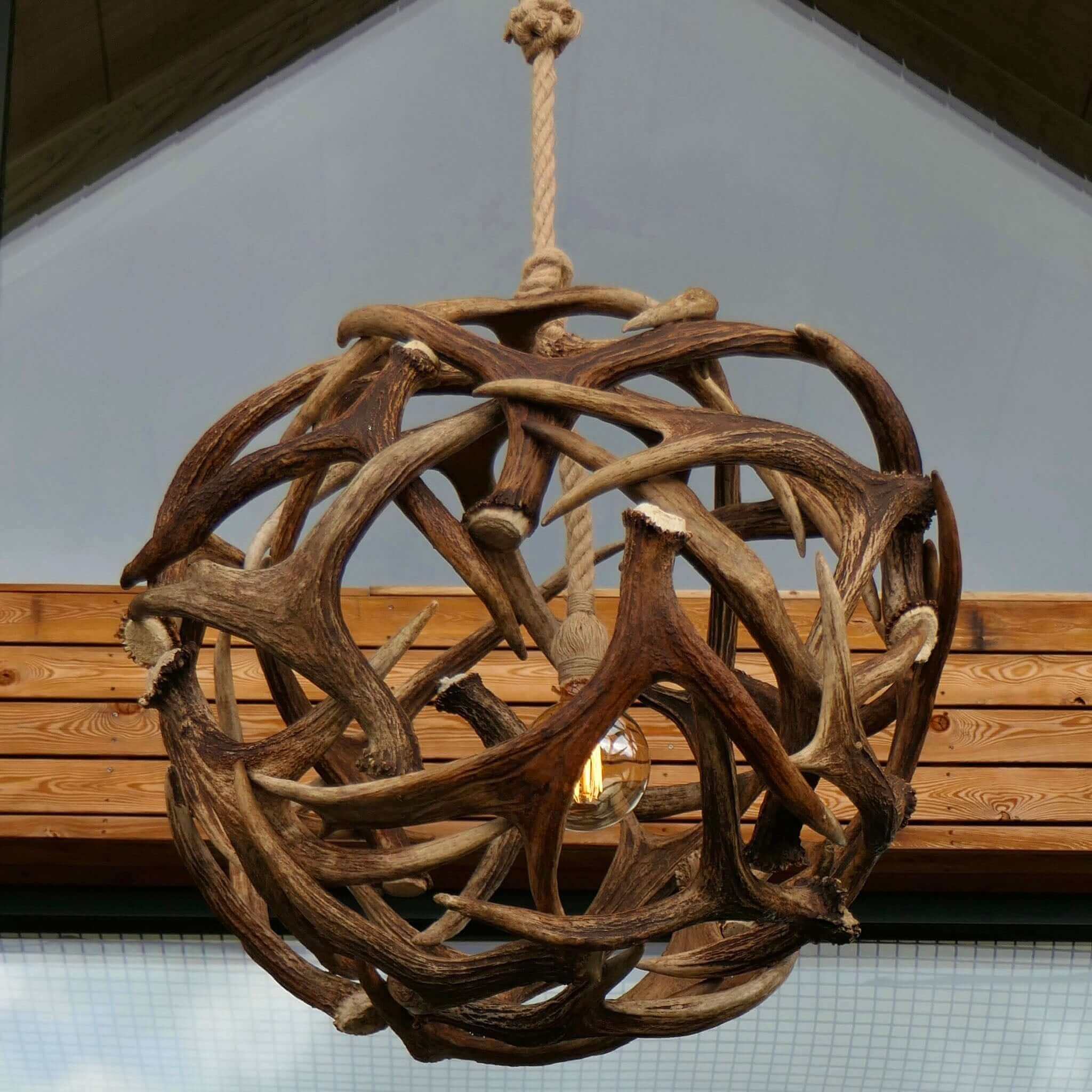 Real moose antler light fixture.