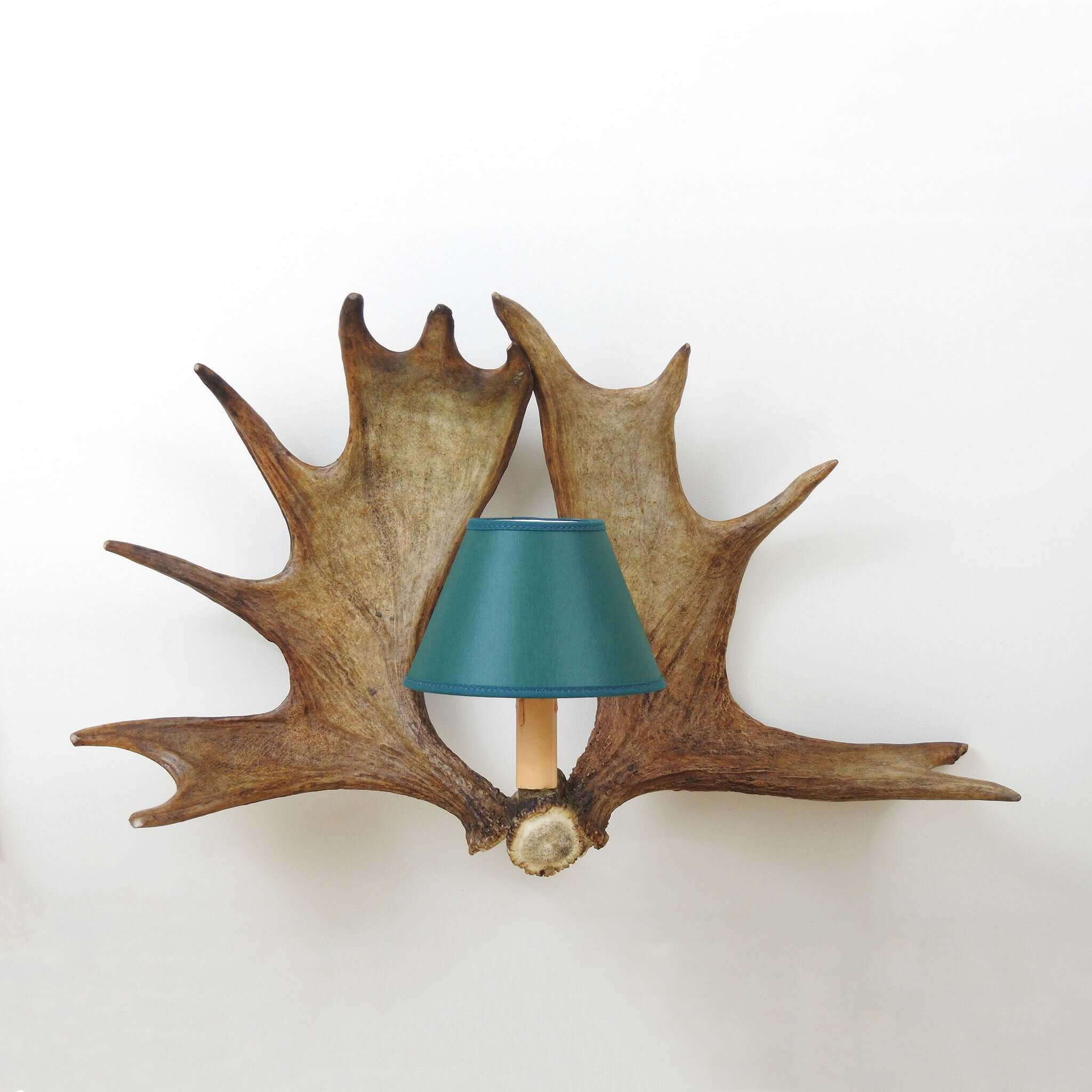 Real moose antler wall chandelier.
