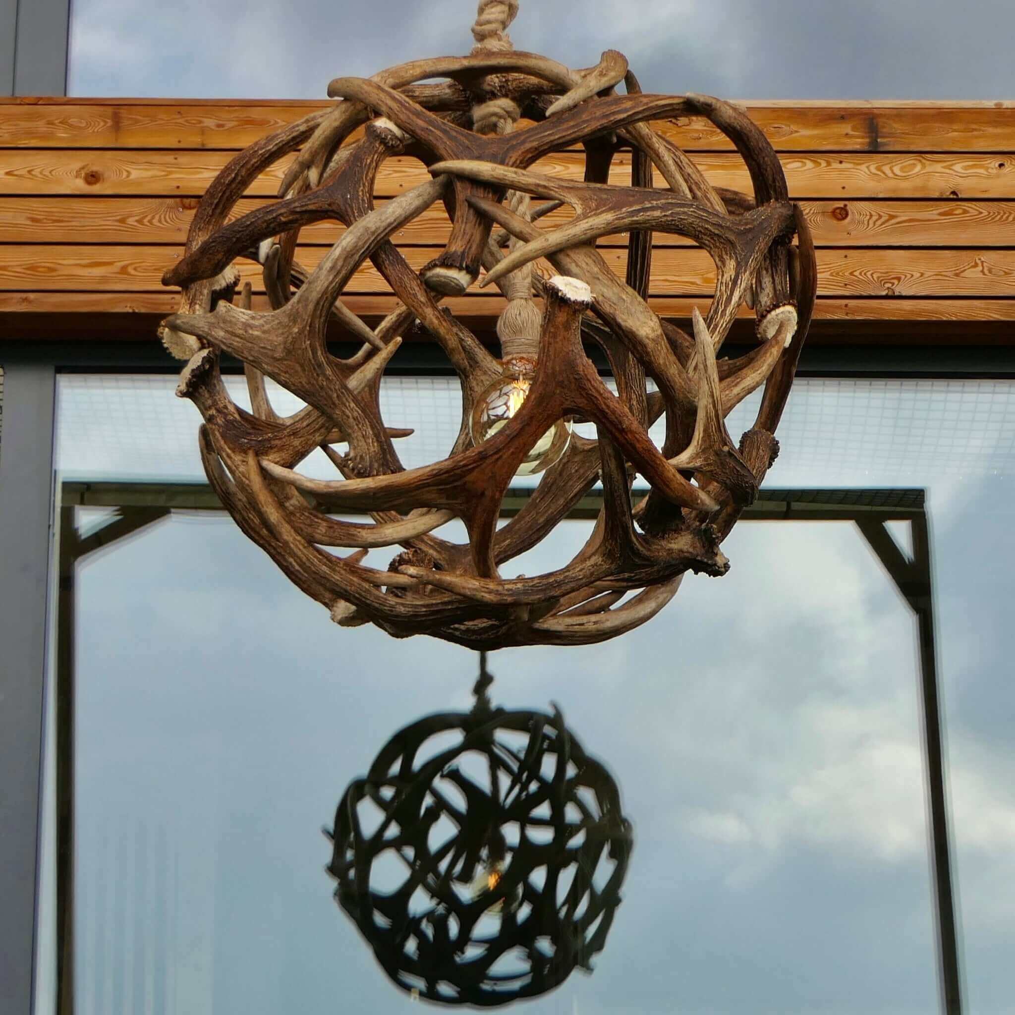 Moose antler light fixture.
