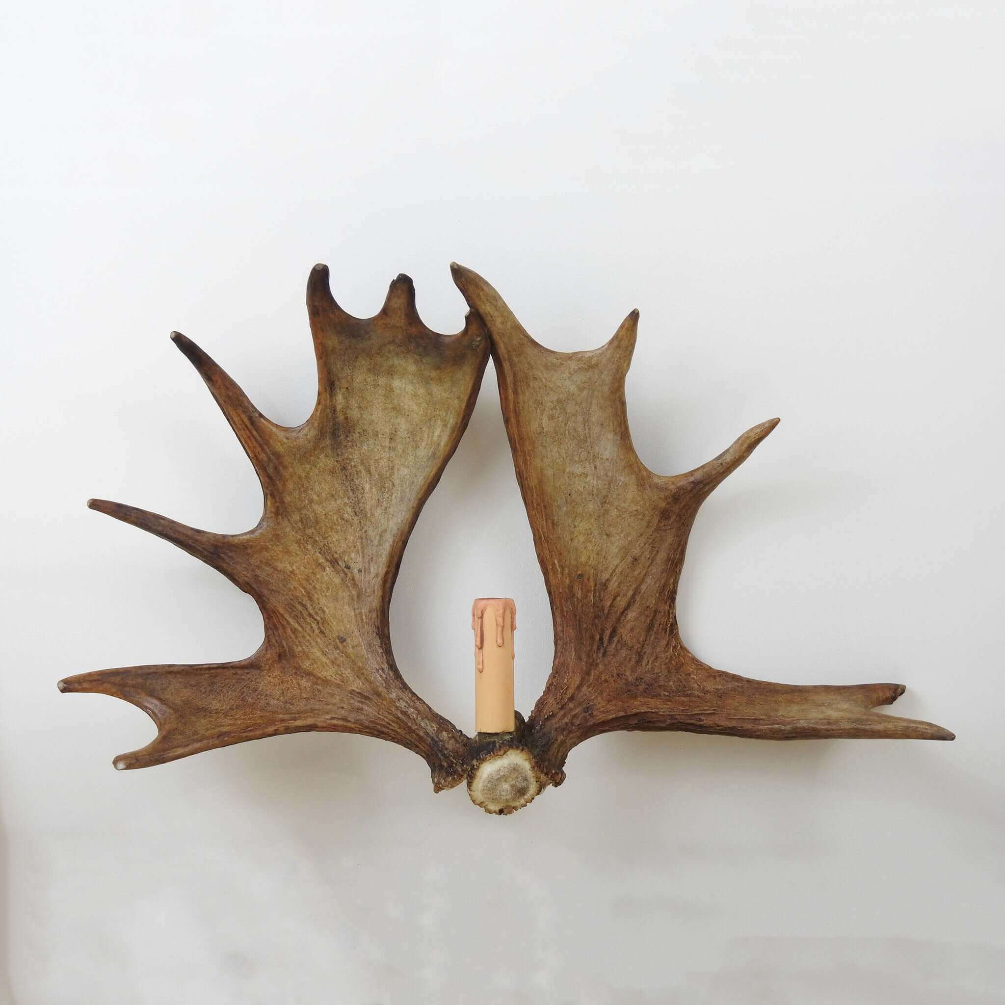 Double moose antler wall lamp.