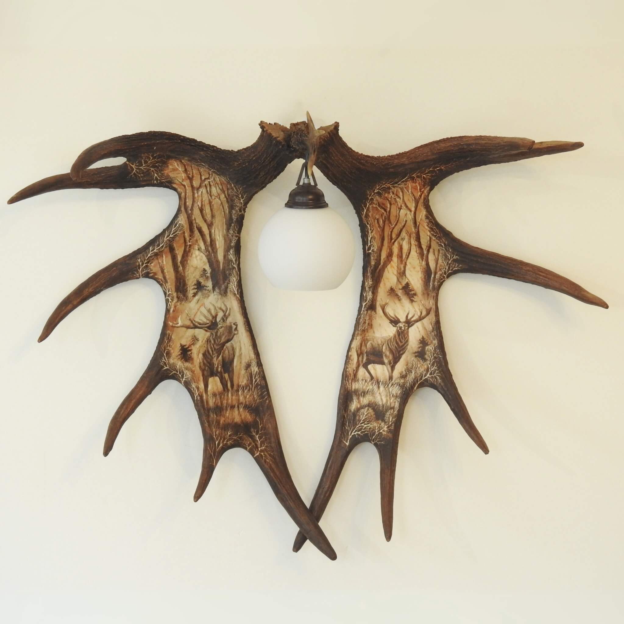 Moose antler wall light.