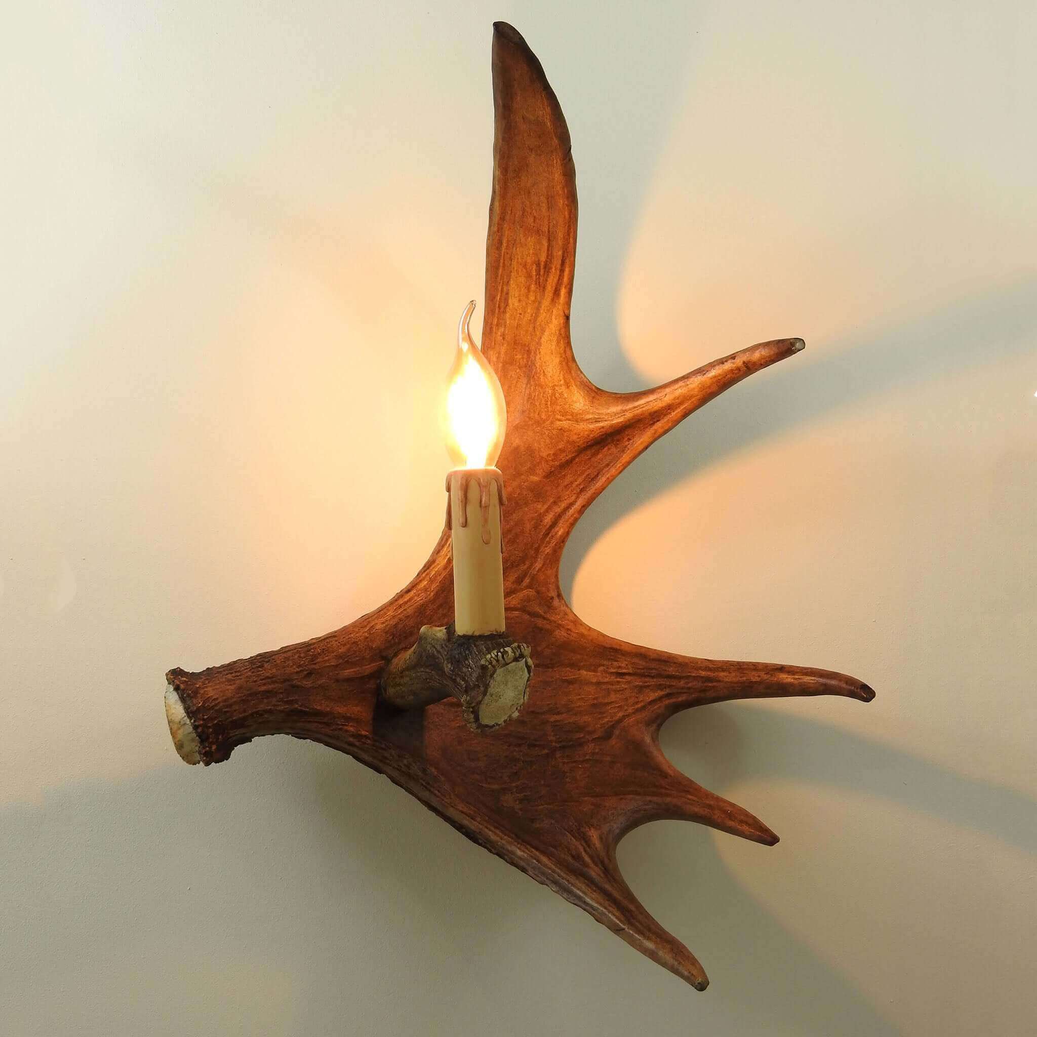 Real moose antler sconce.