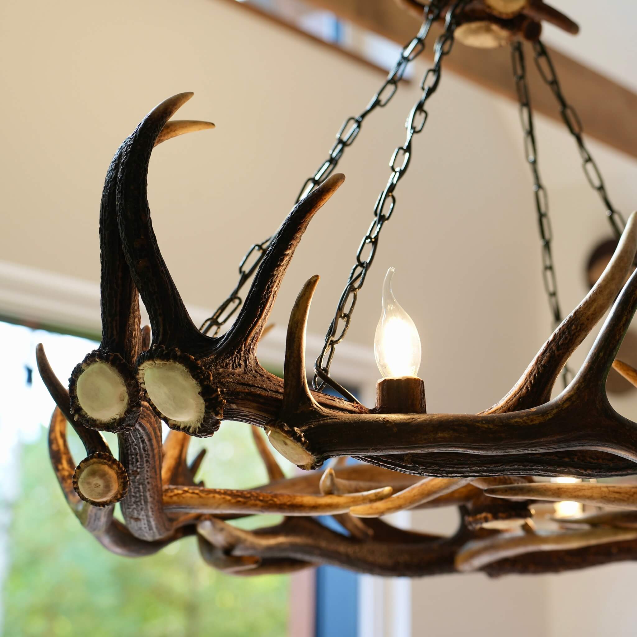 Details of antler chandelier made of real red deer shed. Chandelier is for 4 bulbs.