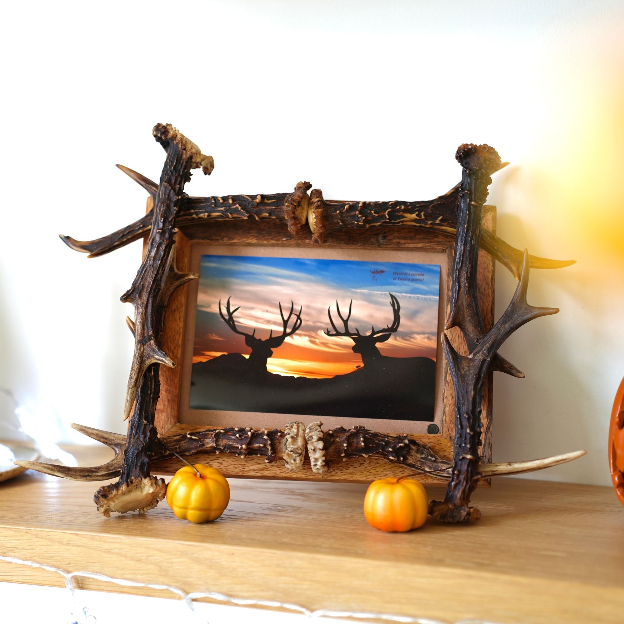 Standing picture frame made of antlers