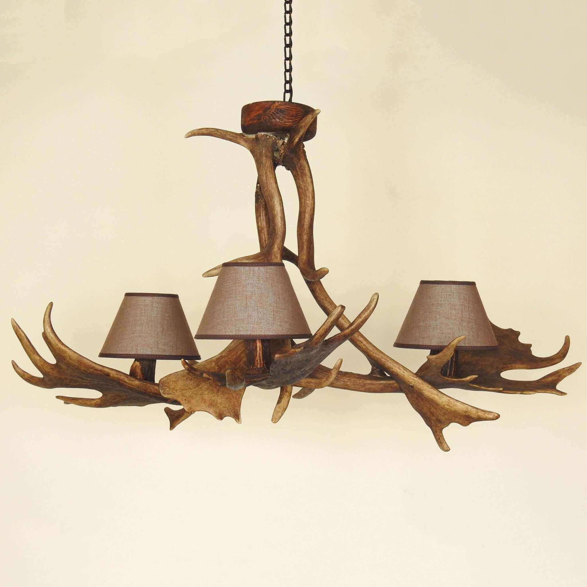 Real antler chandelier.