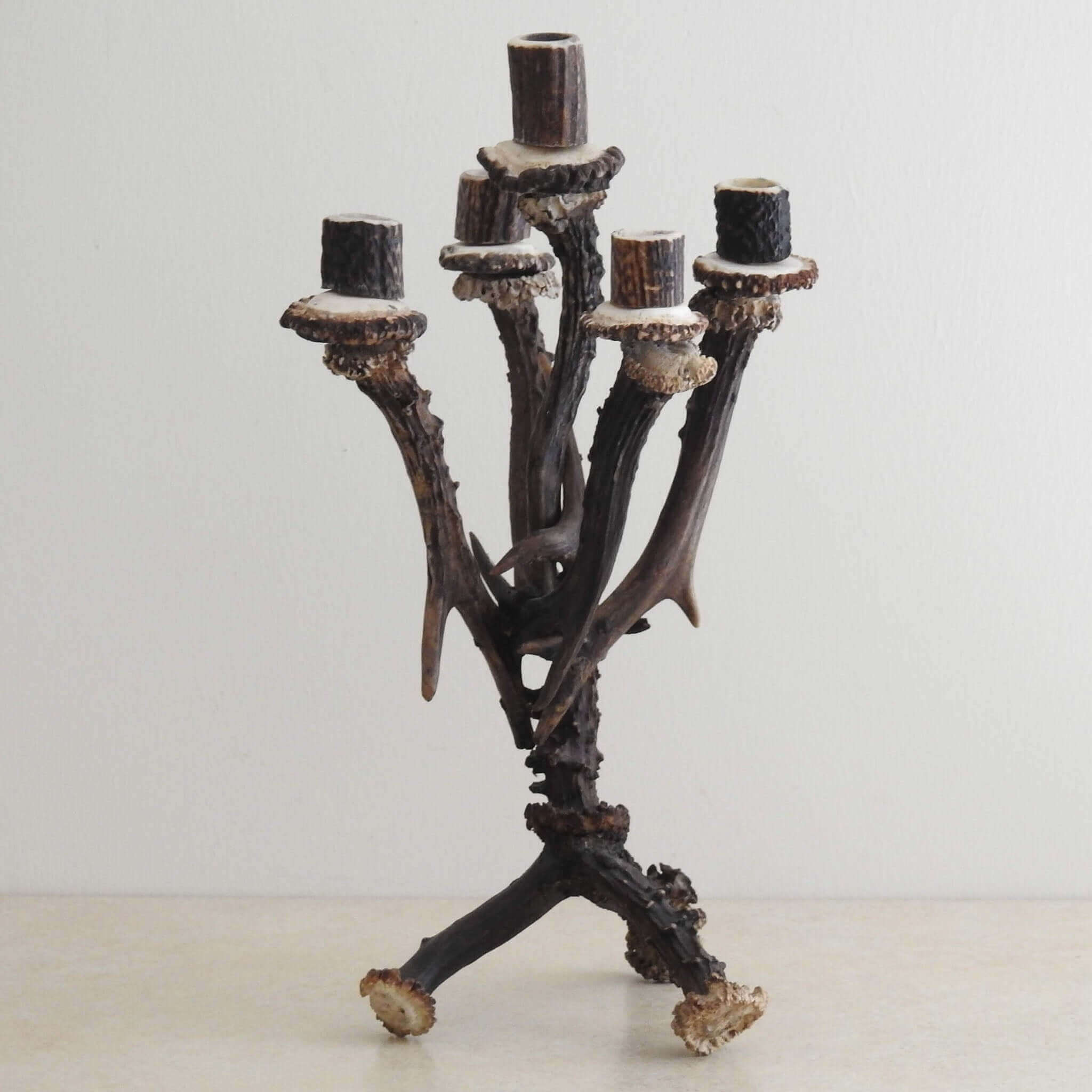Antler decor for christmas.