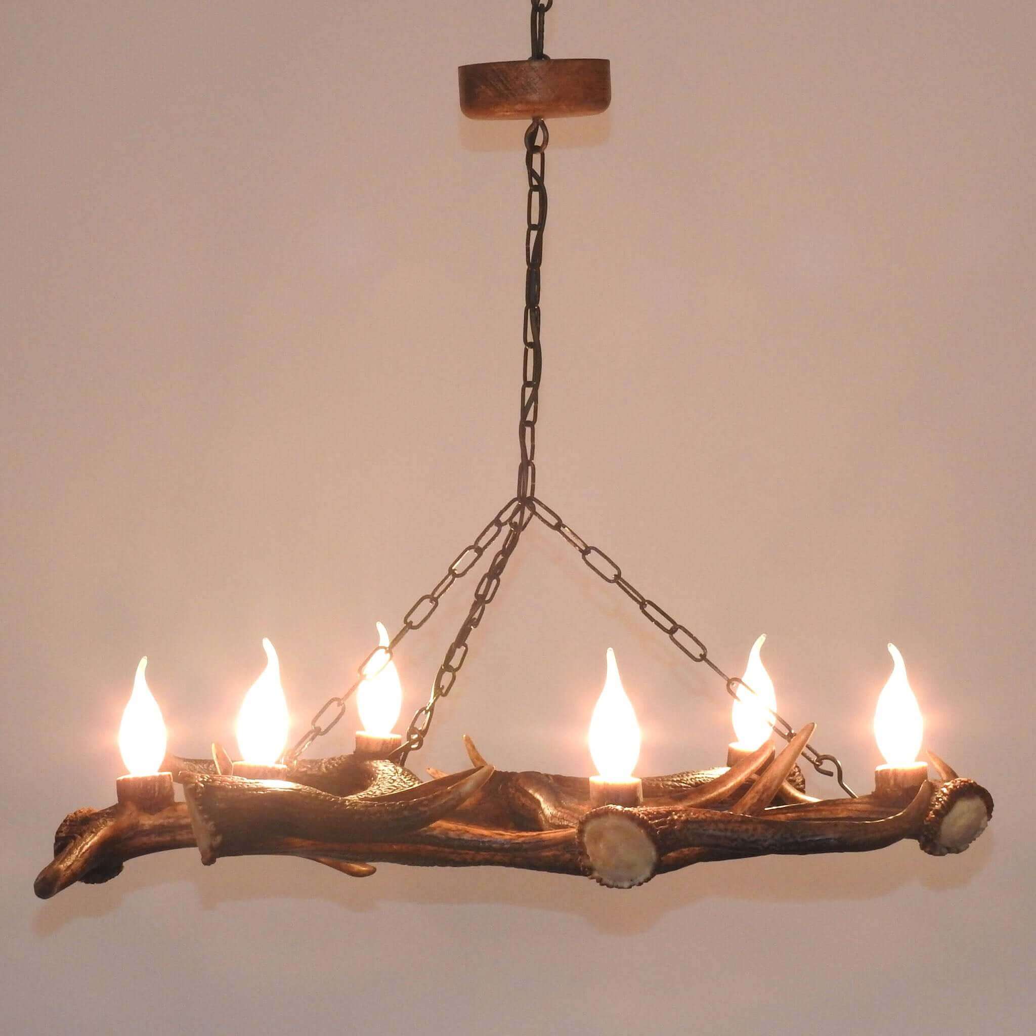 Small antler chandelier.